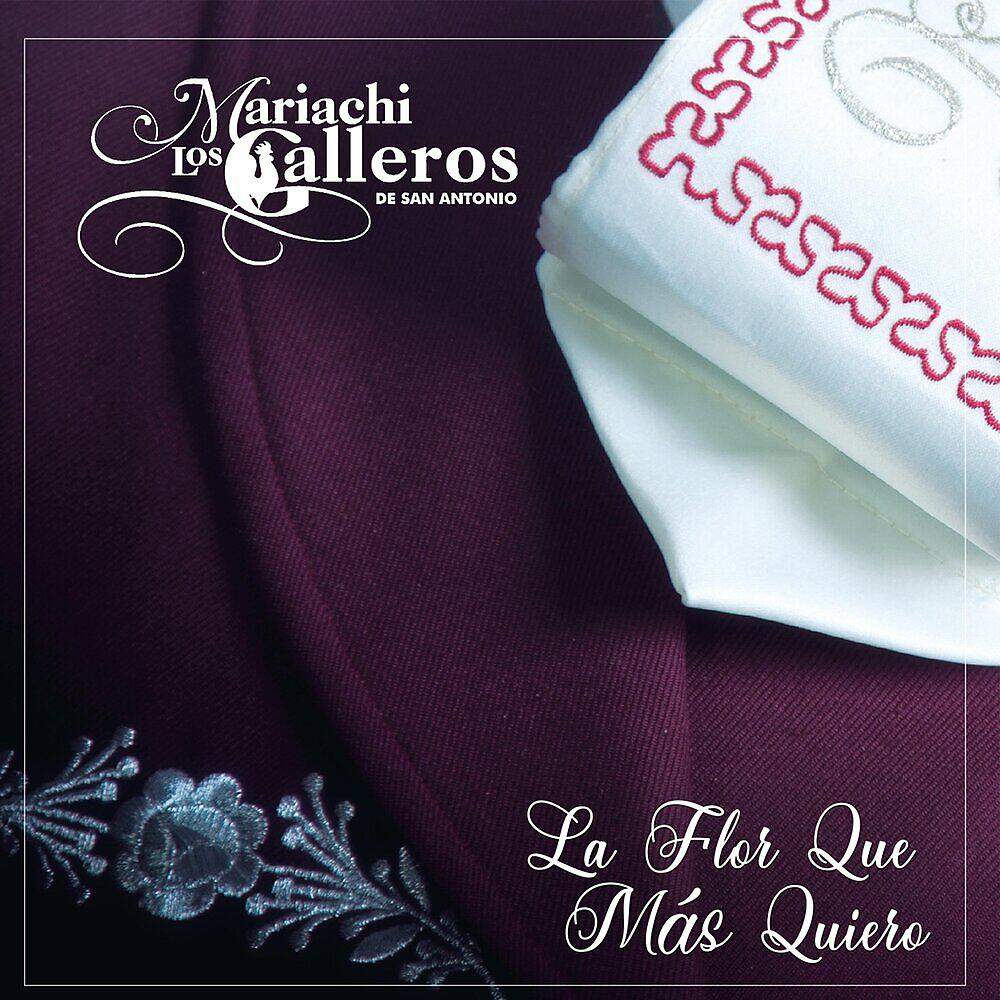 Mariachi los Galleros de San Antonio