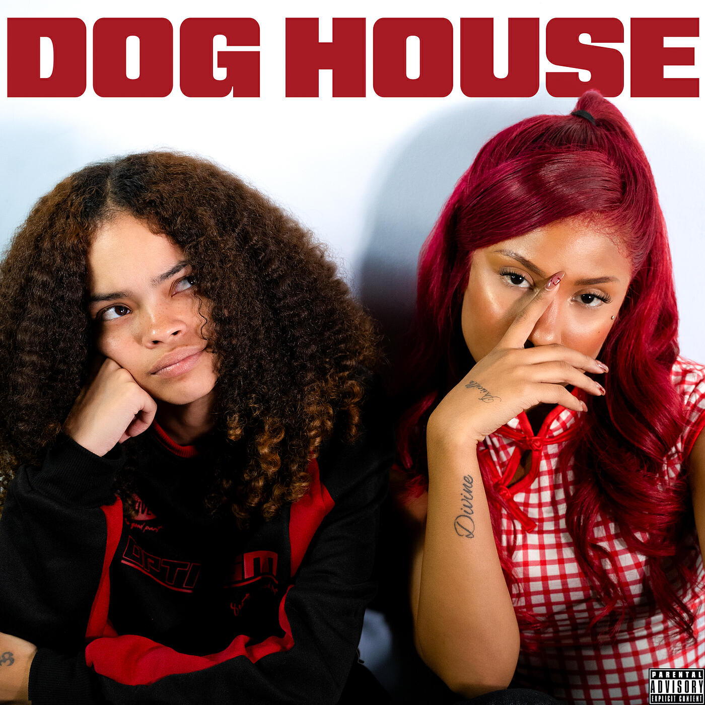 Релиз Dog House