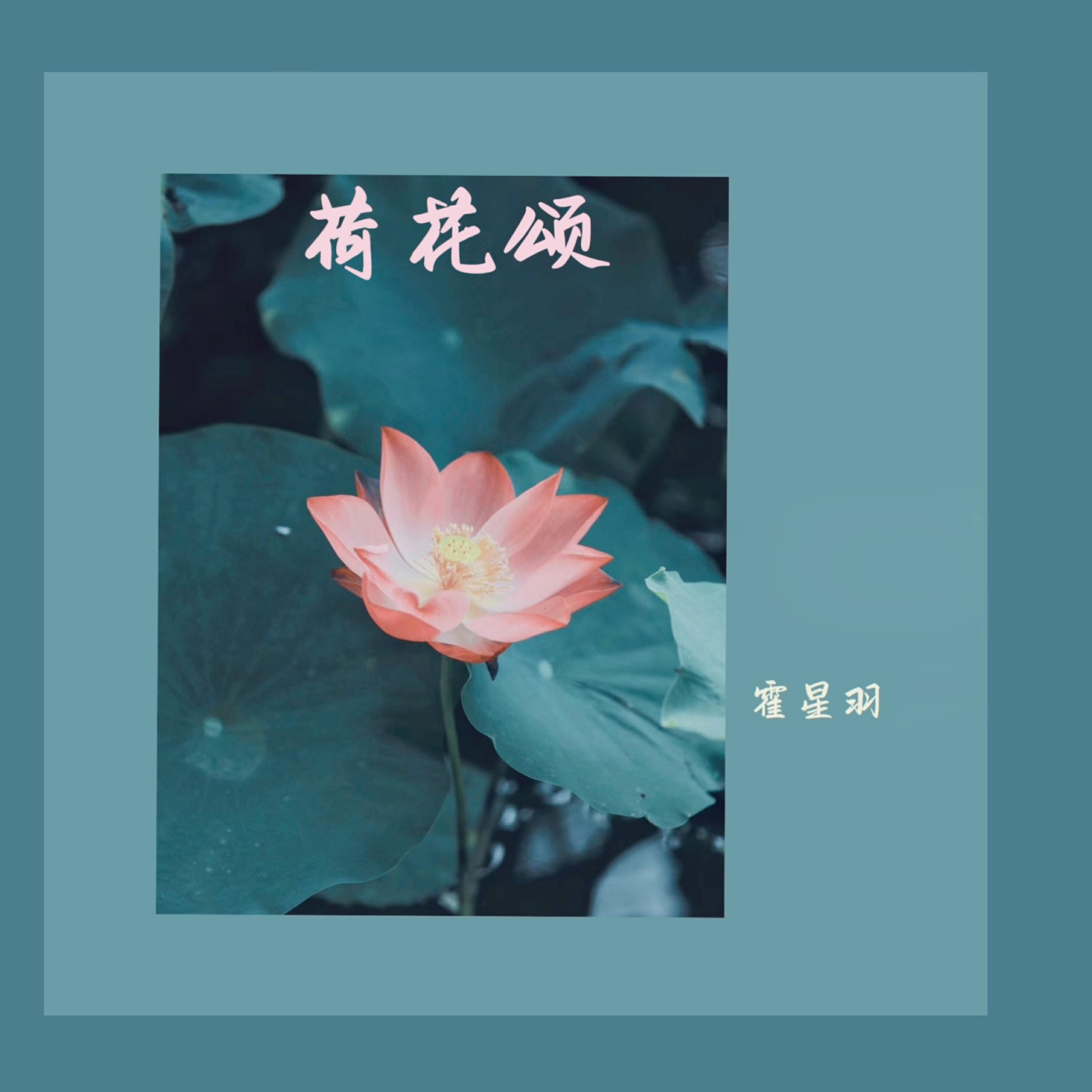 Релиз 荷花颂