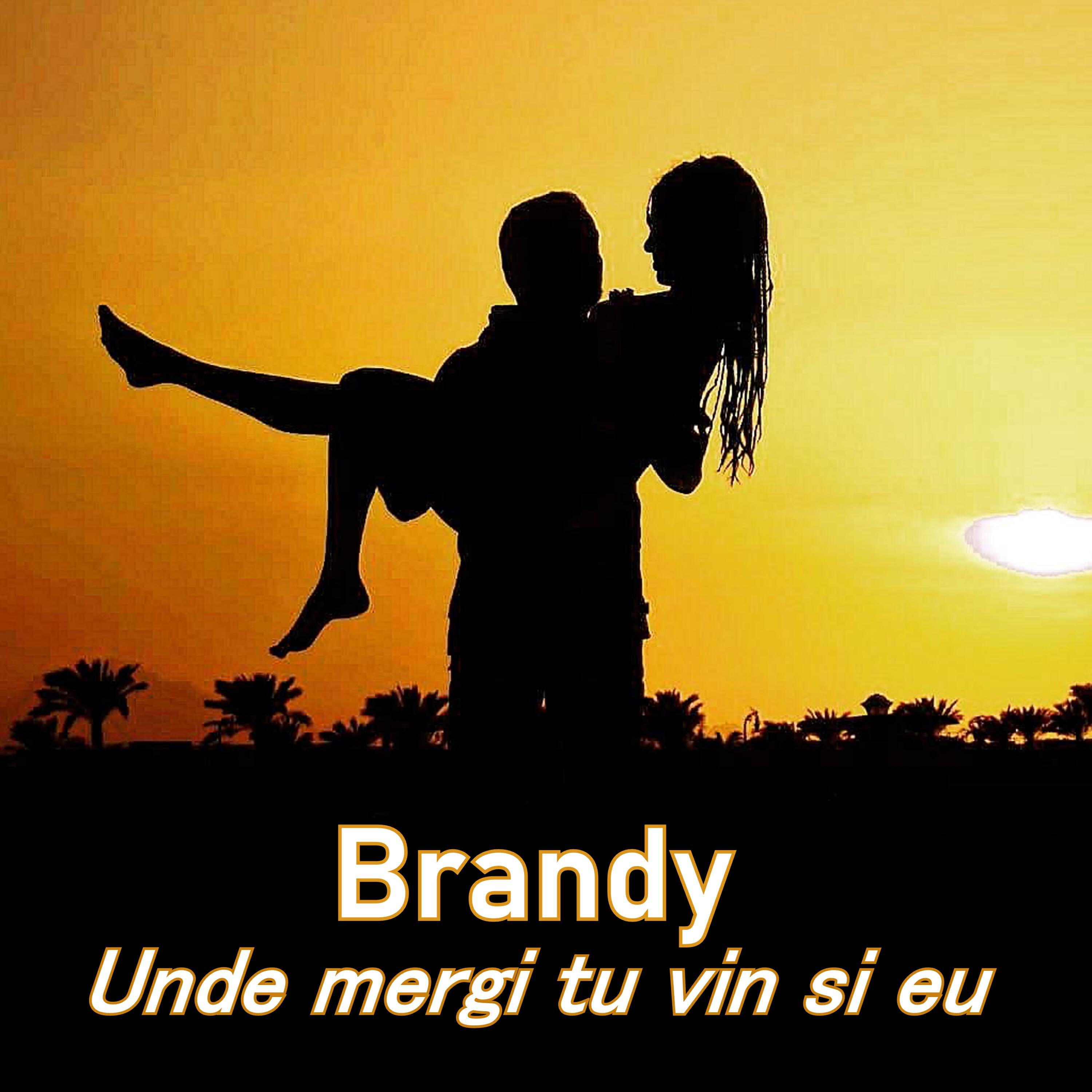 Релиз Unde mergi tu vin si eu