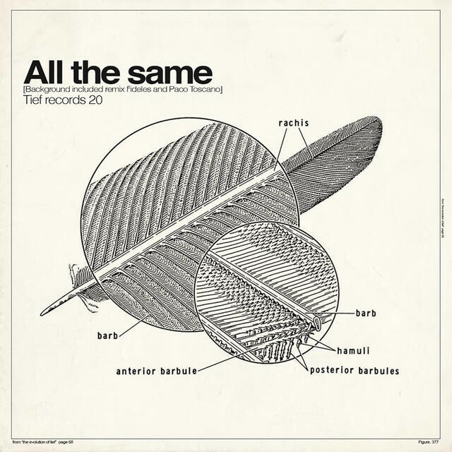 Релиз All the Same