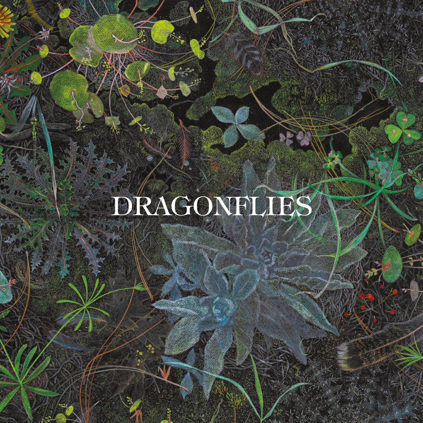 Релиз Dragonflies