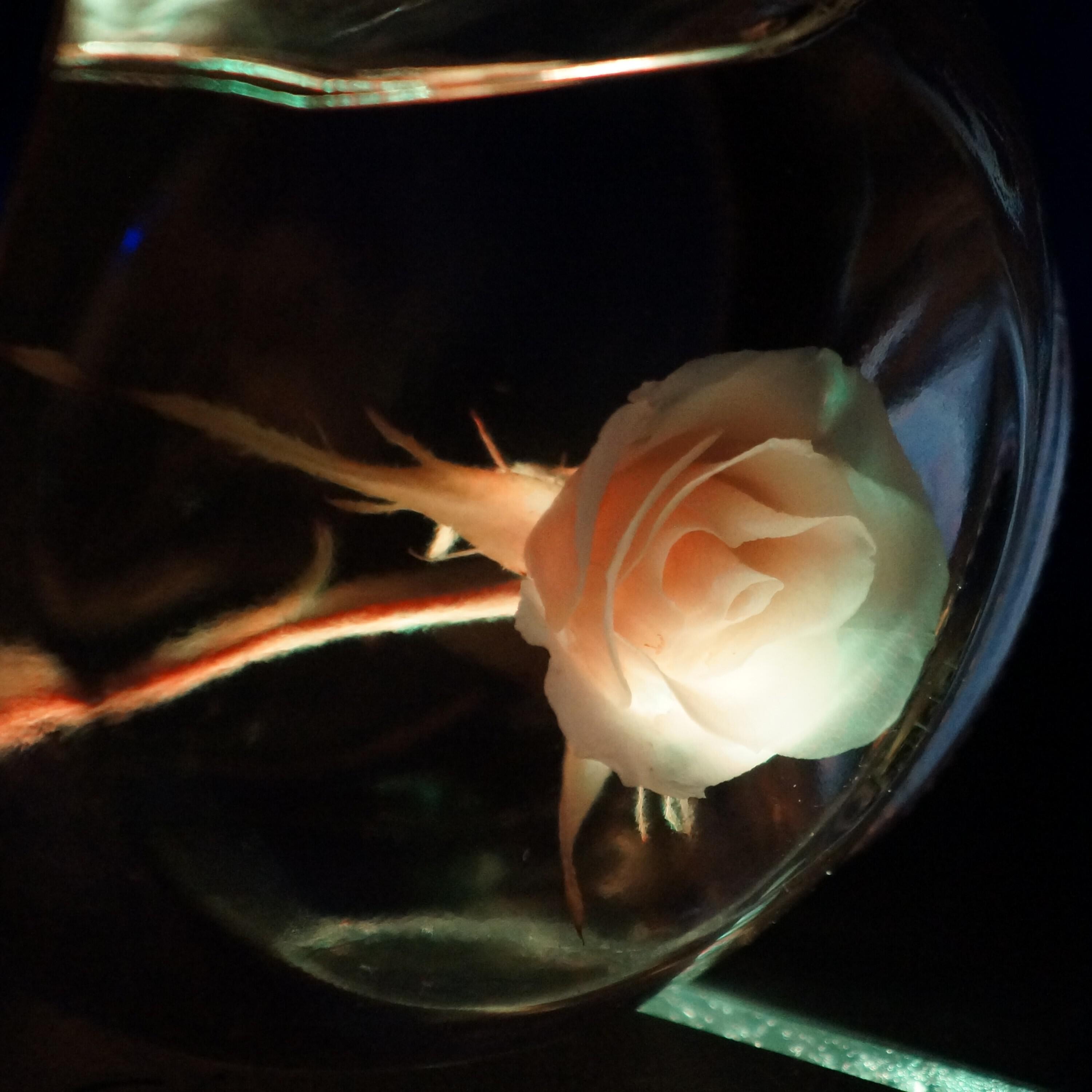 Релиз Hoy Se Termina