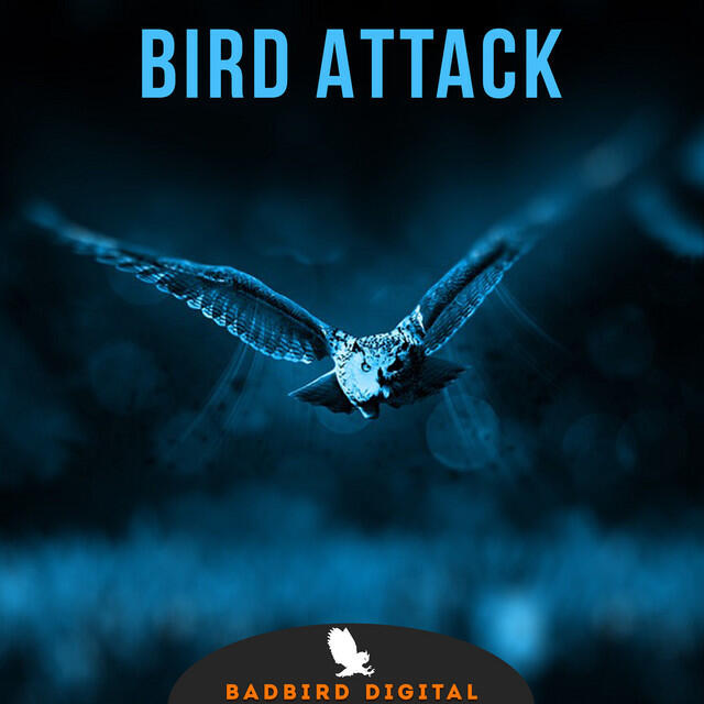 Релиз BadBirds