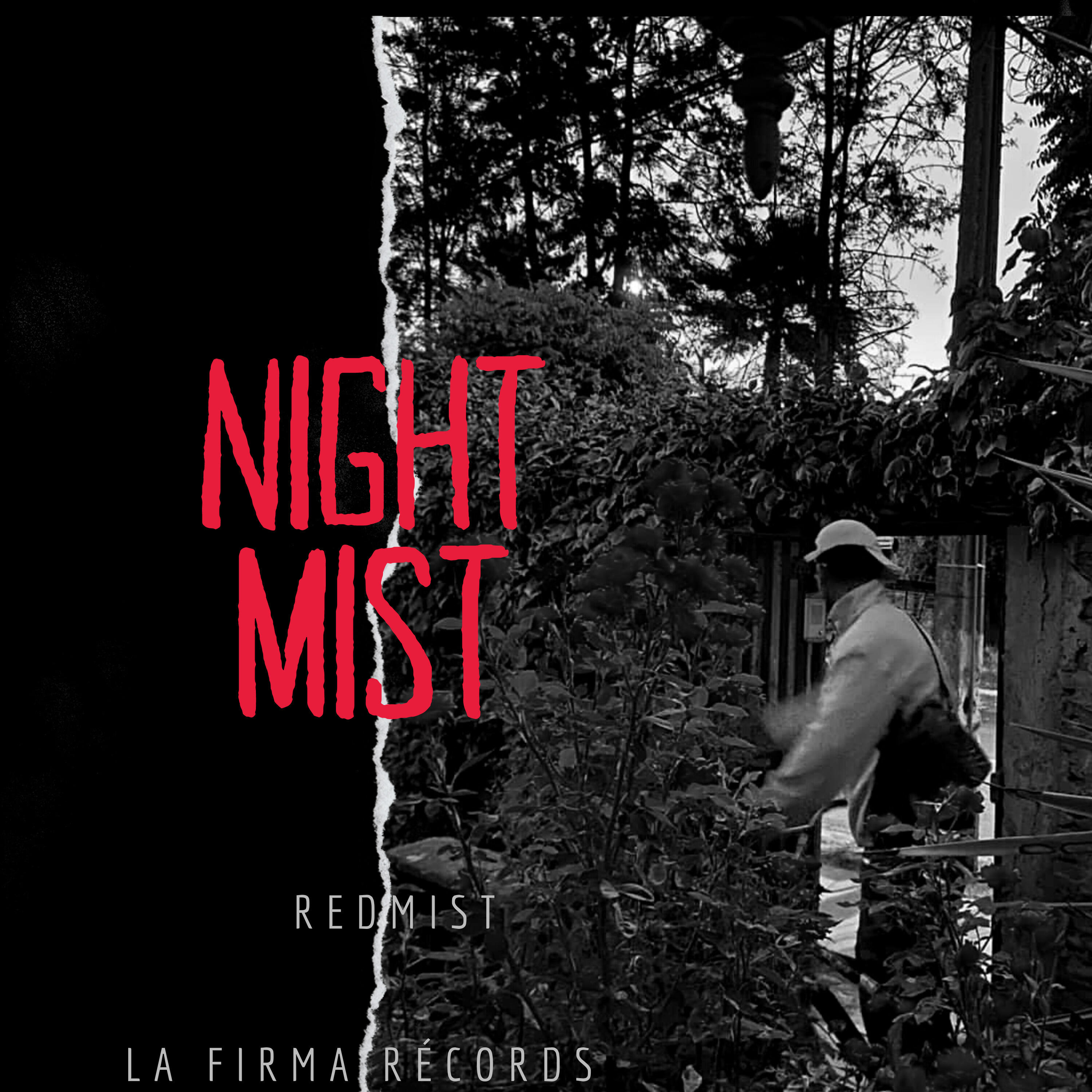 Постер альбома Nightmist