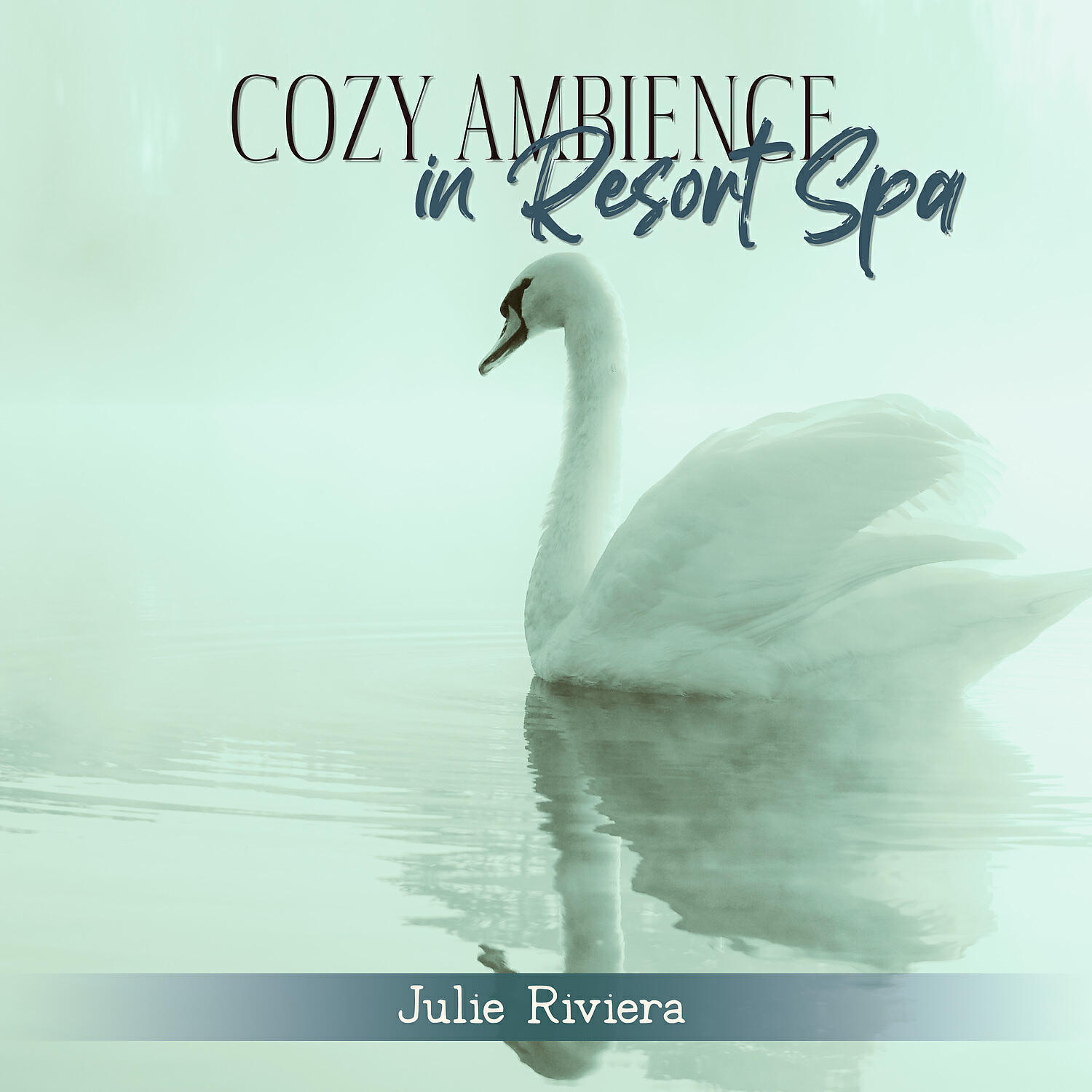 Постер альбома Cozy Ambience in Resort Spa: Soothing Sounds for Spa, Wellness, Massage, Fight Against Anxiety, Stress & Negative Mental States
