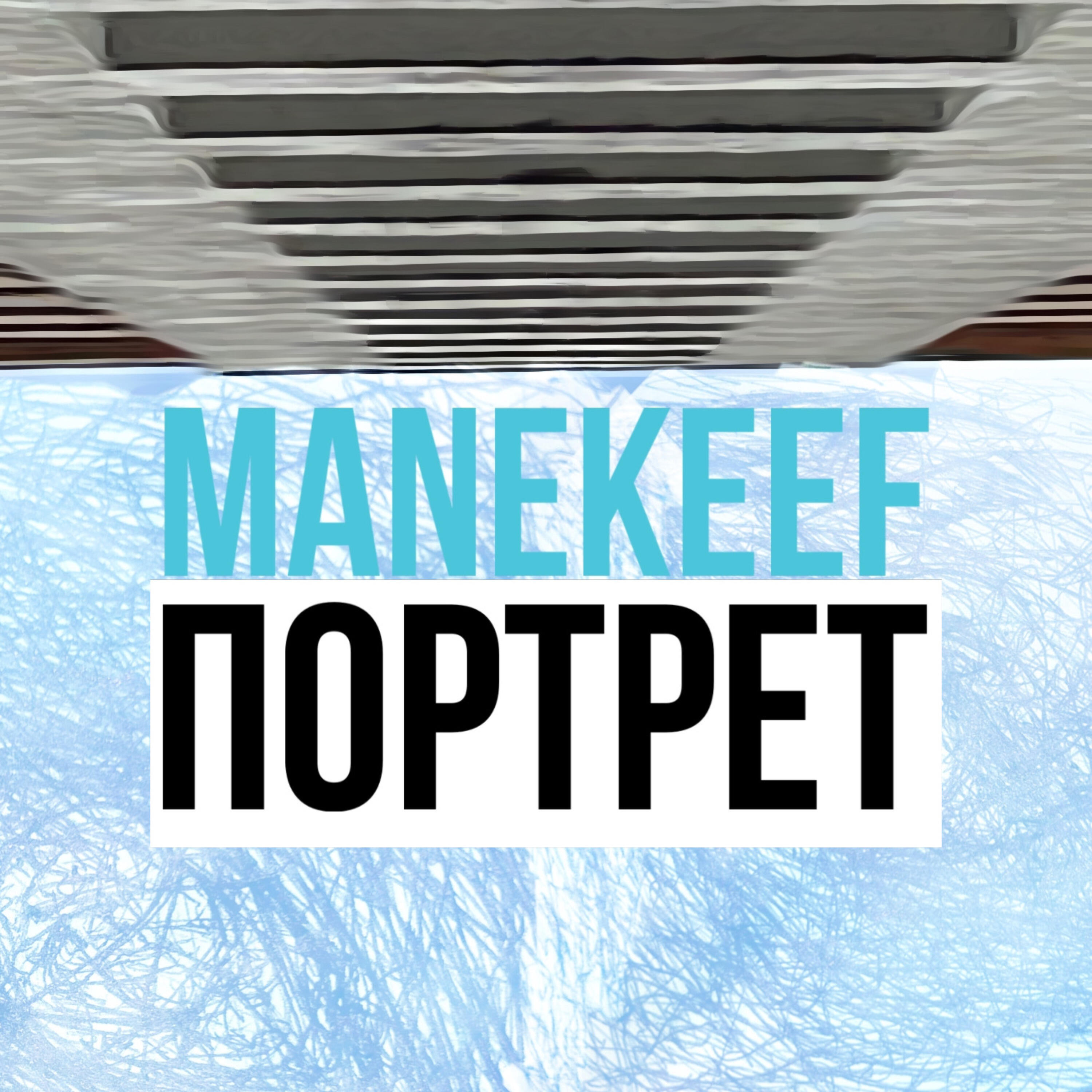 Релиз Портрет