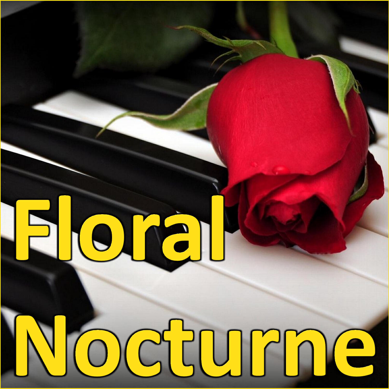 Постер альбома Floral Nocturne