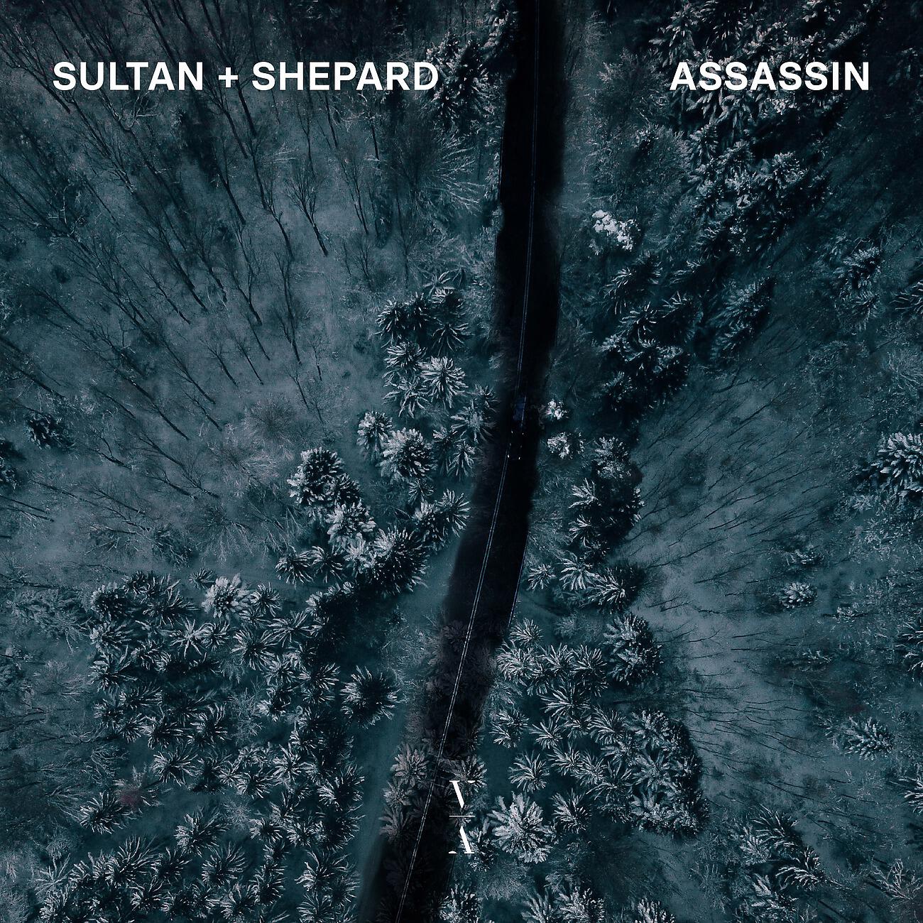 Постер альбома Assassin