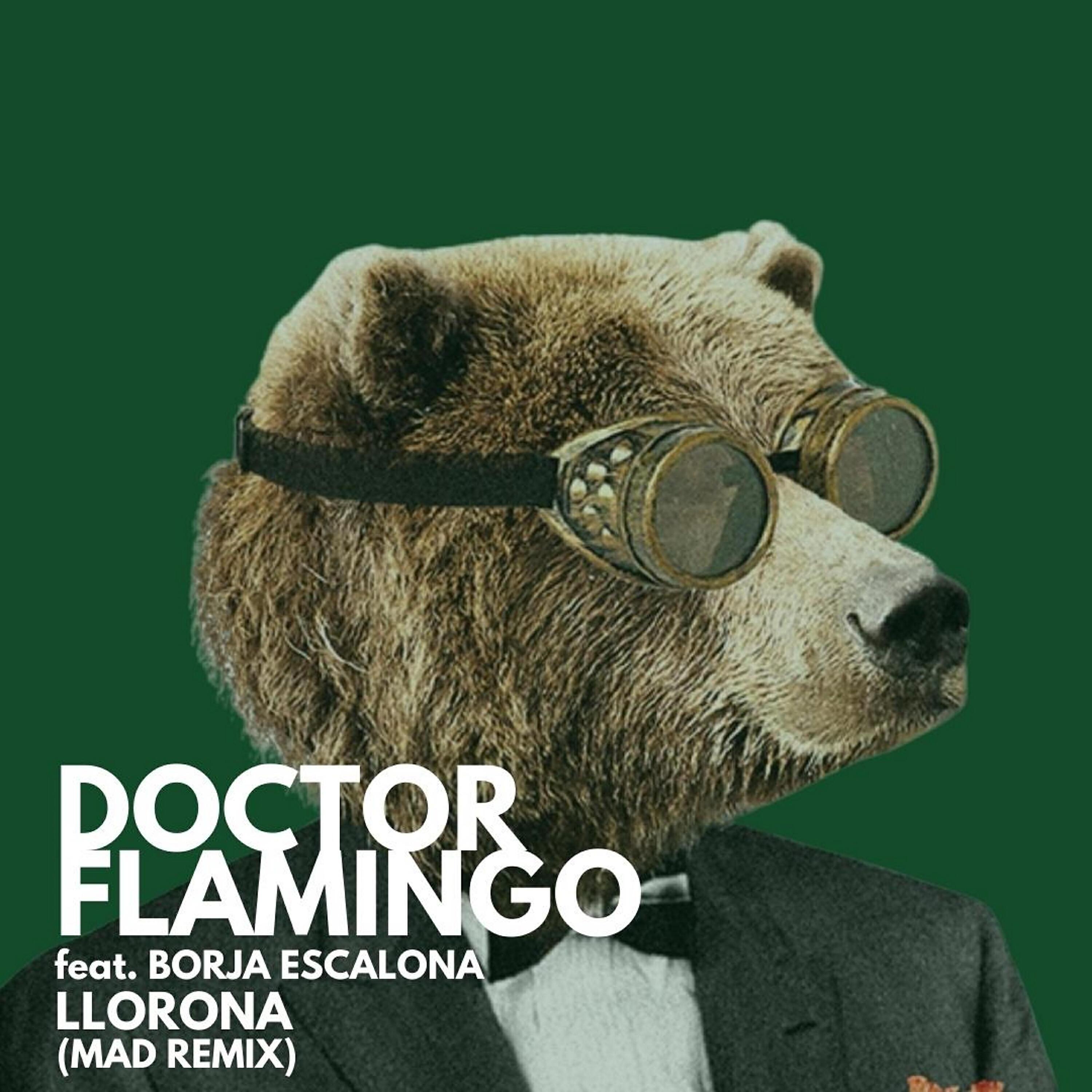 Doctor Flamingo