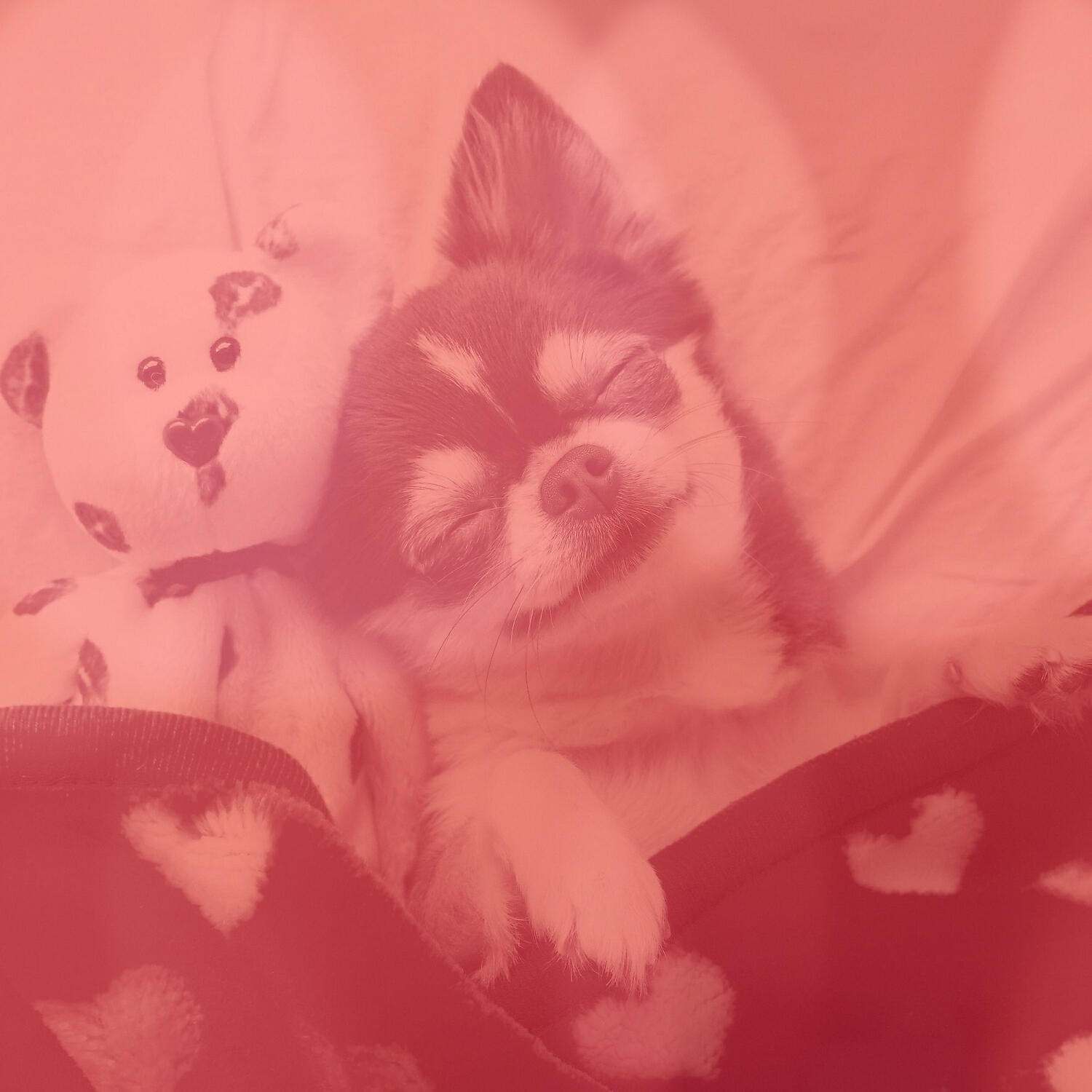 Релиз Bossa Trombone - Bgm for Doggy Stress