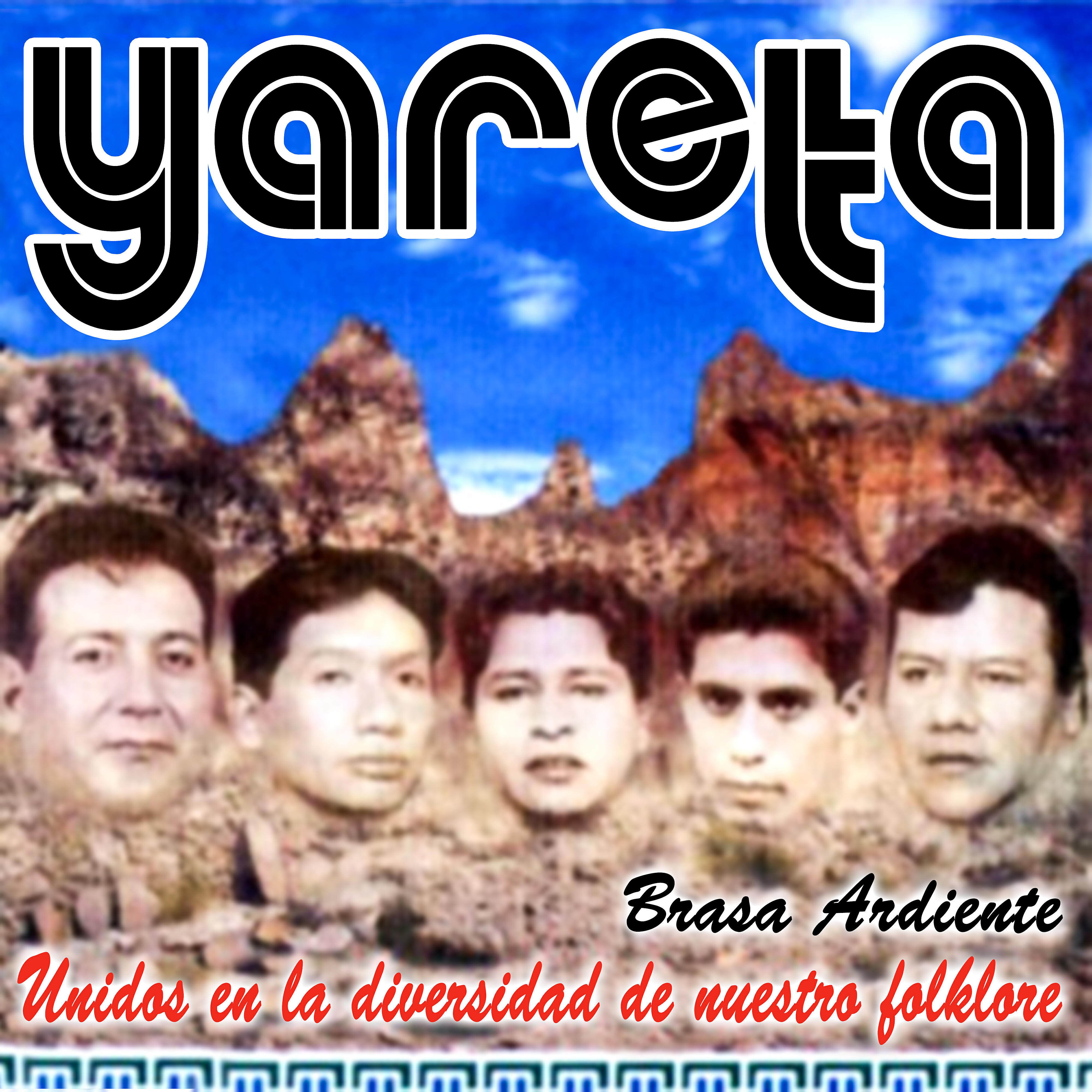 Yareta