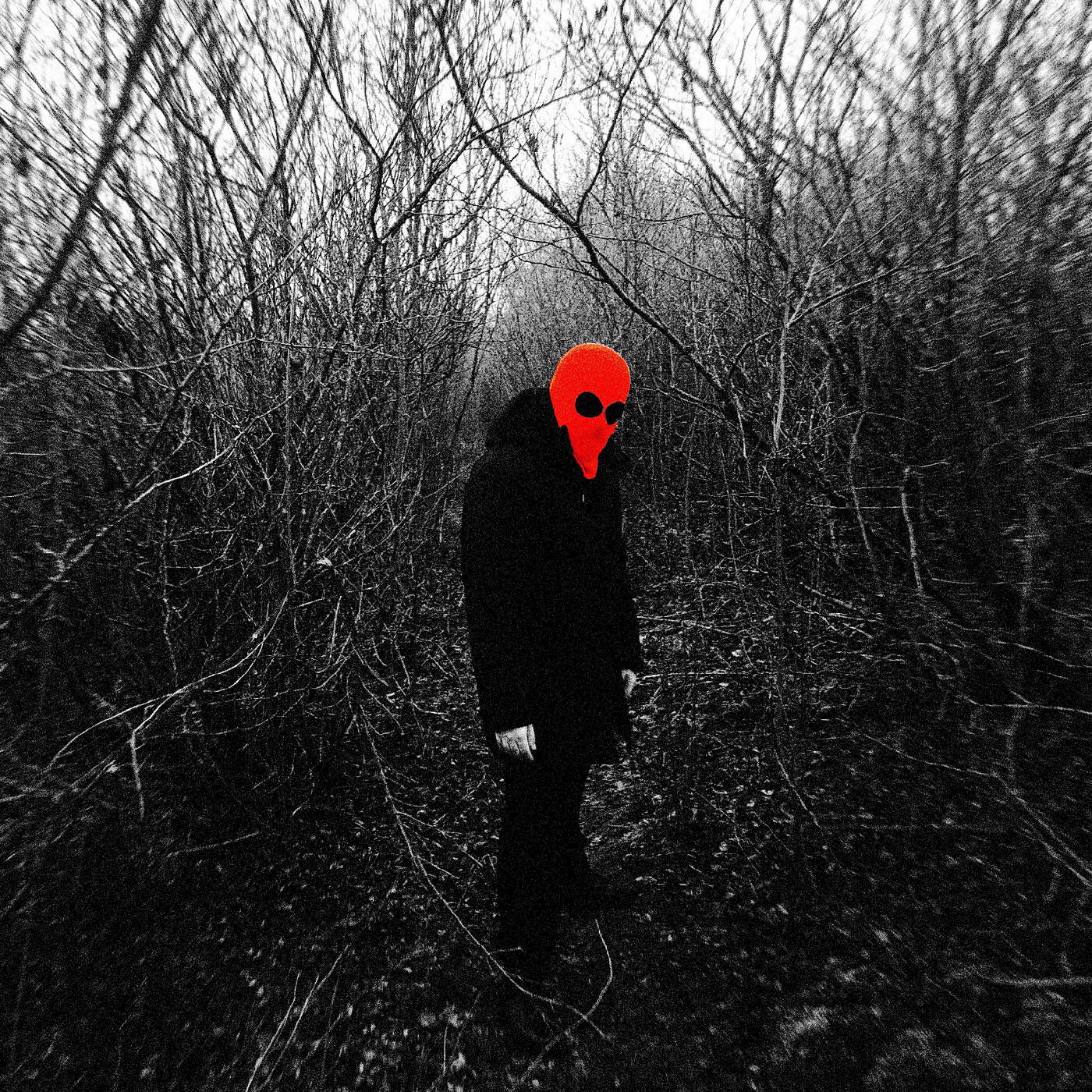 Релиз The Gloom
