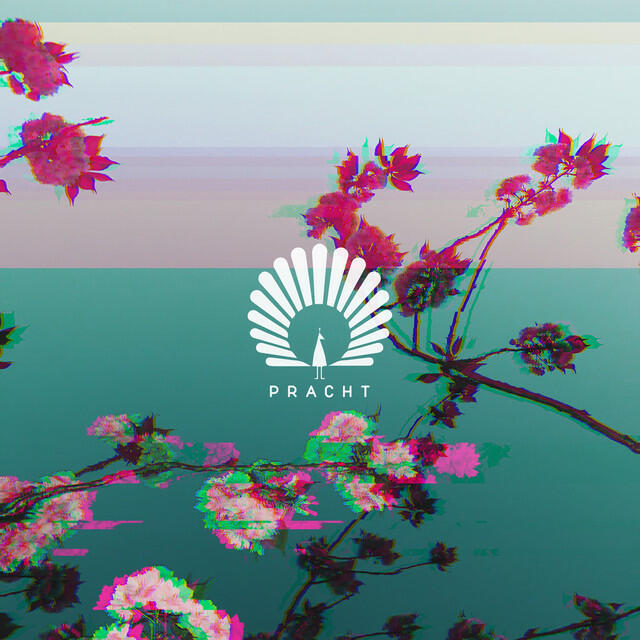 Релиз Caprice (Midas 104 Remix)
