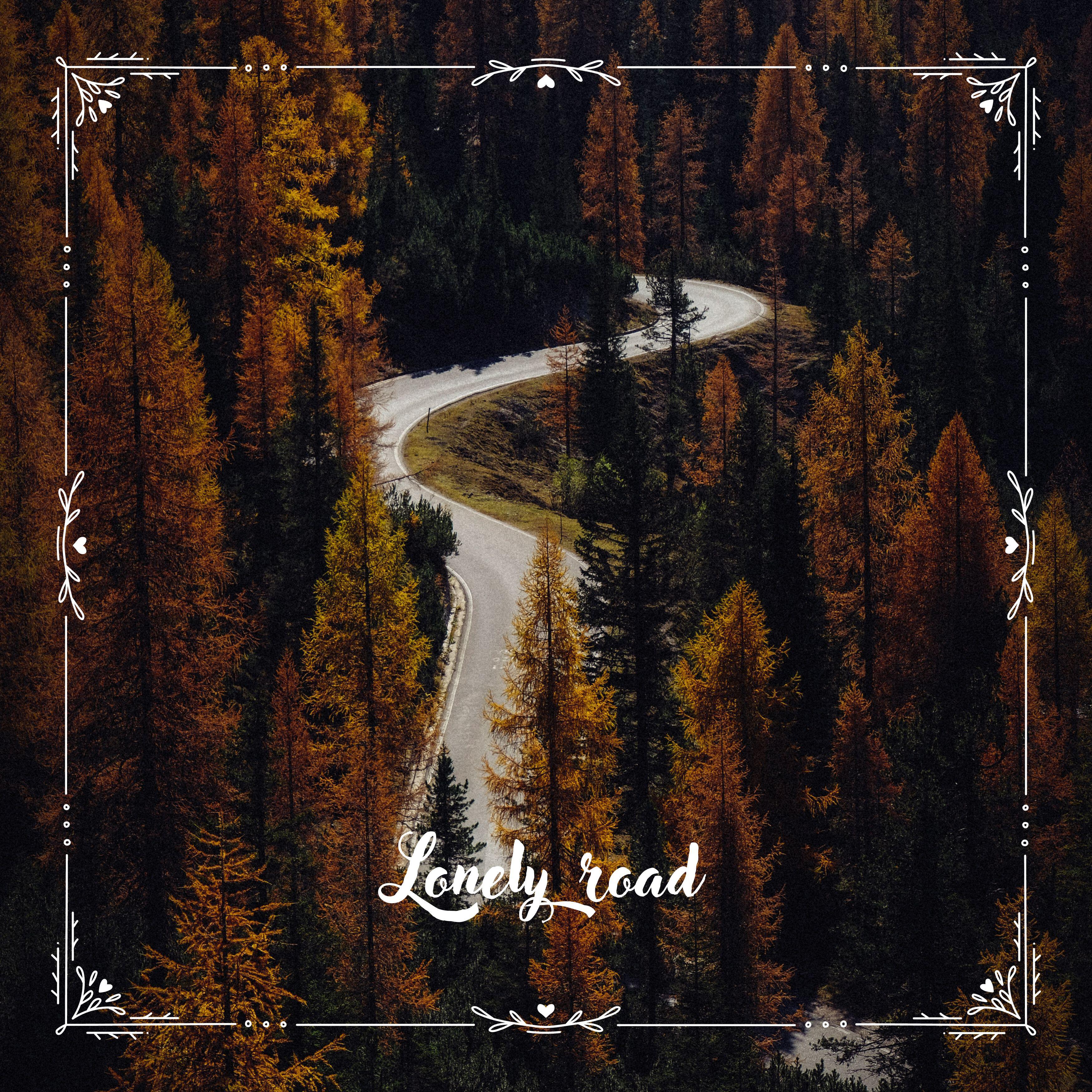 Постер альбома Lonely road