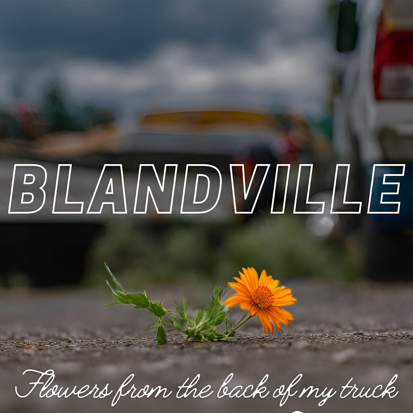 Постер альбома Flowers from the Back of My Truck
