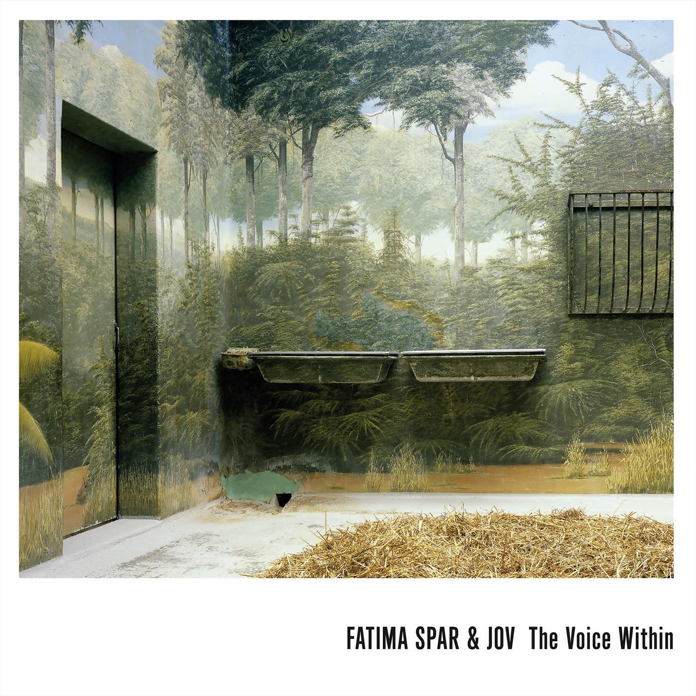 Релиз The Voice Within