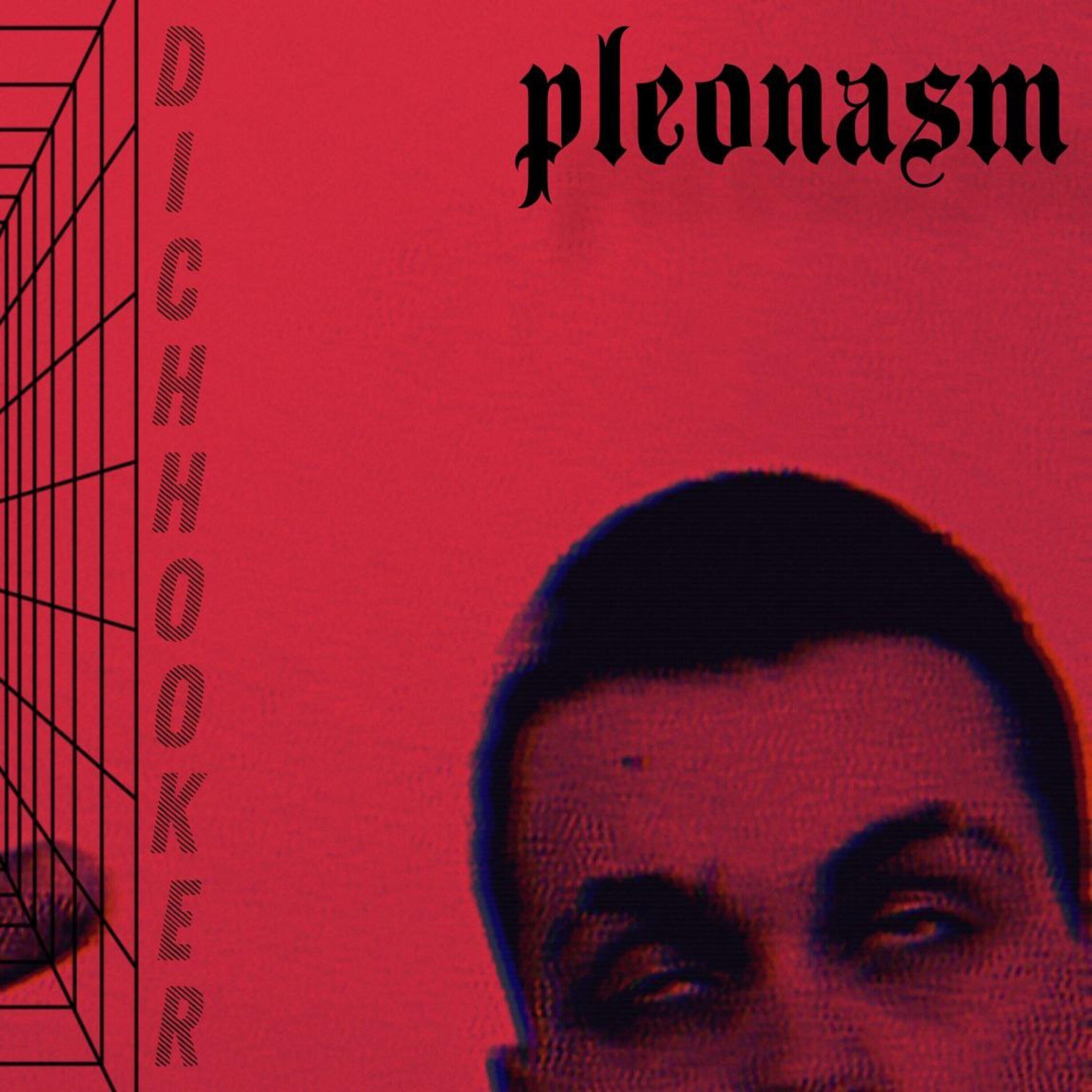 Релиз Pleonasm