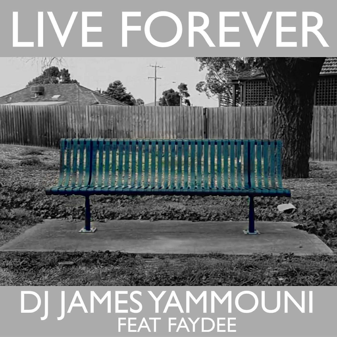 Релиз Live Forever (feat. Faydee)