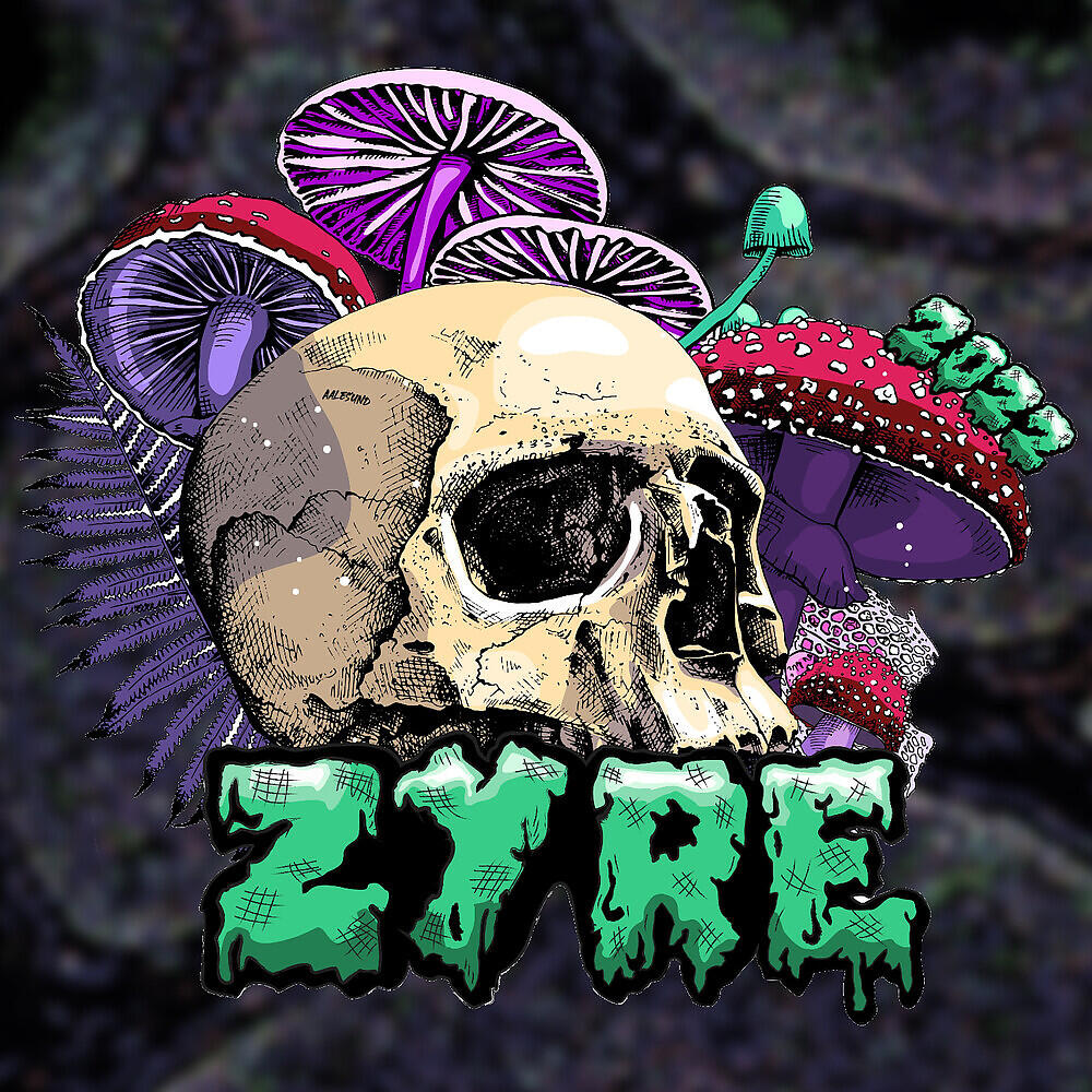 Релиз Zyre 2022