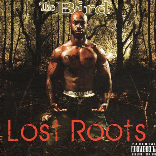Релиз Lost Roots