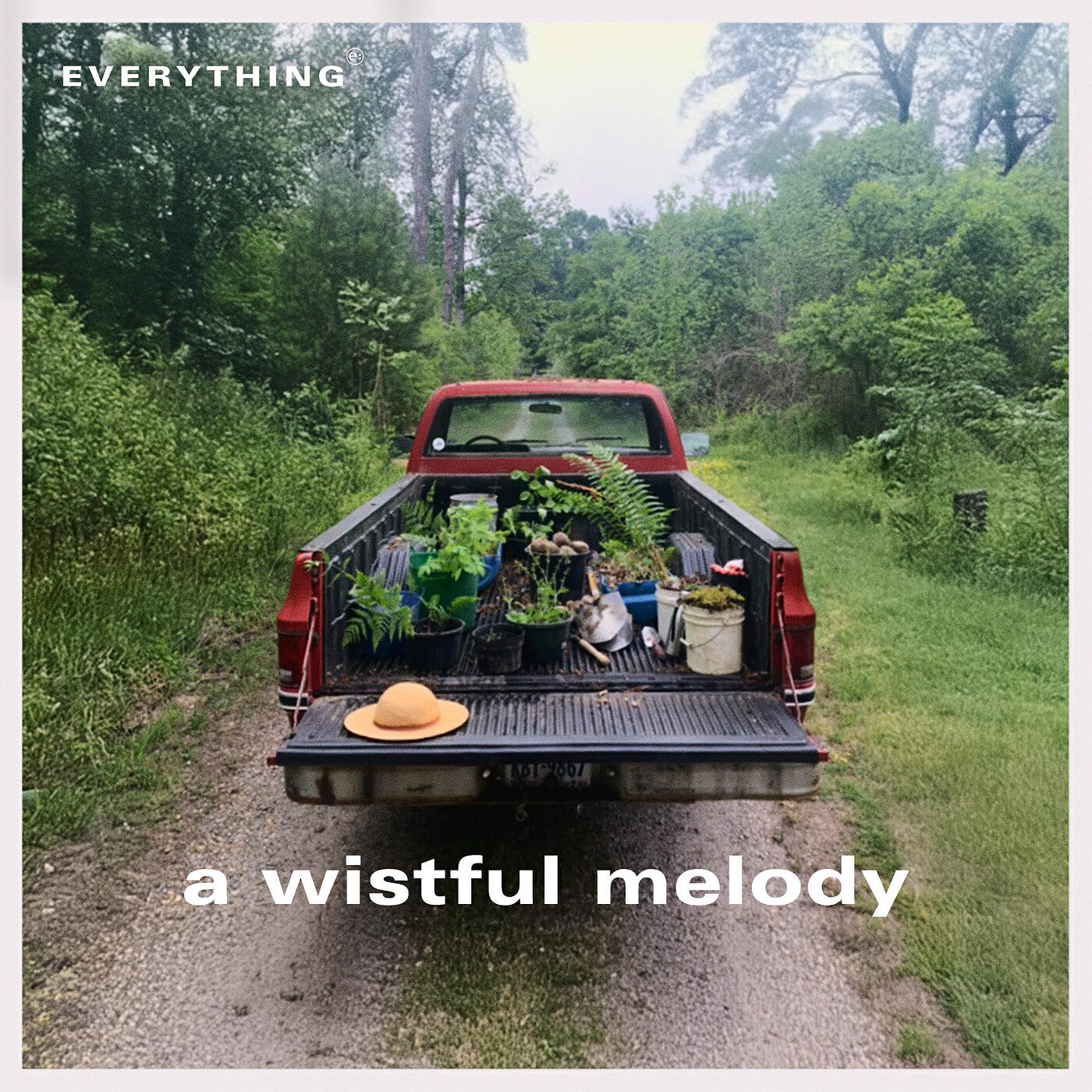 Релиз A Wistful Melody