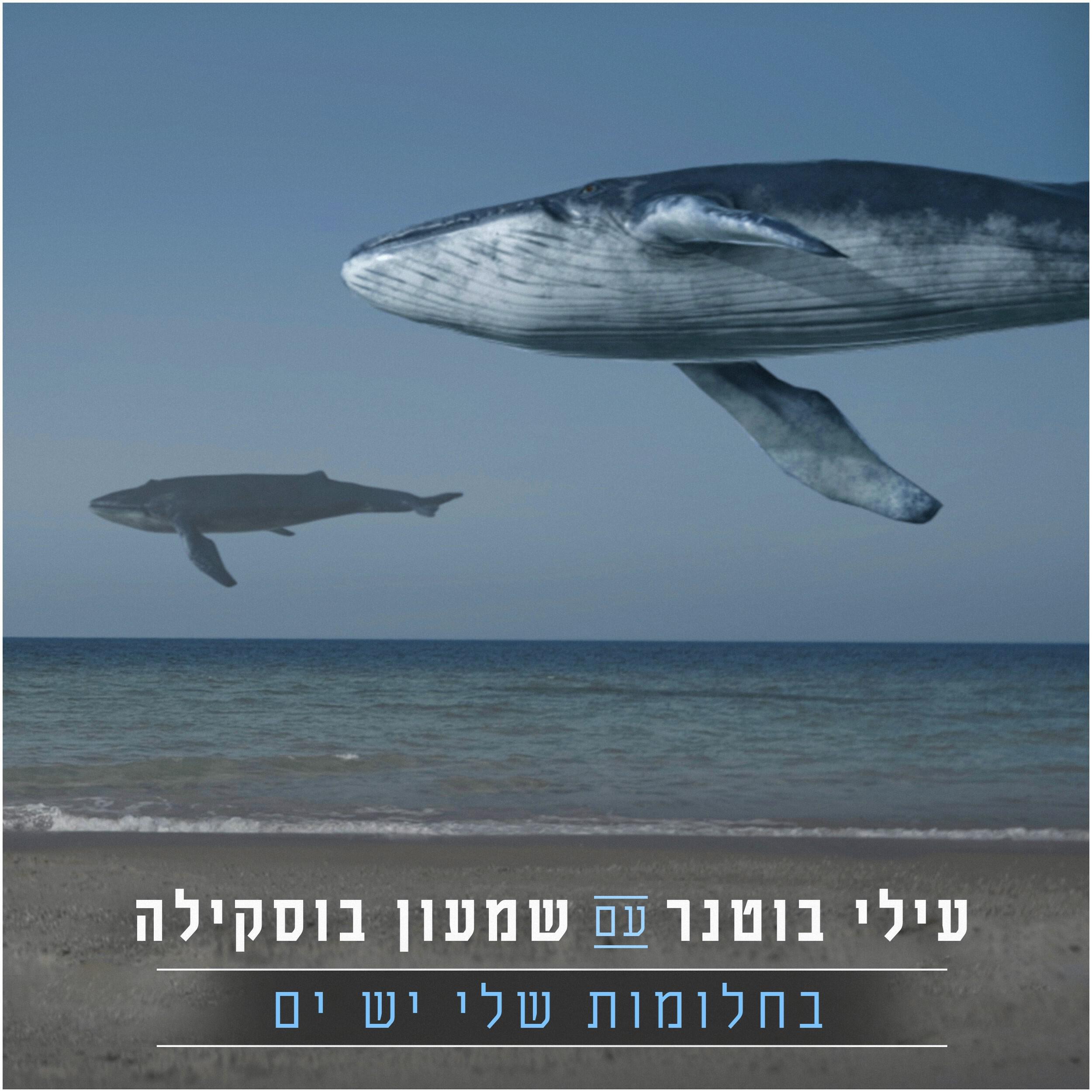 Релиз בחלומות שלי יש ים