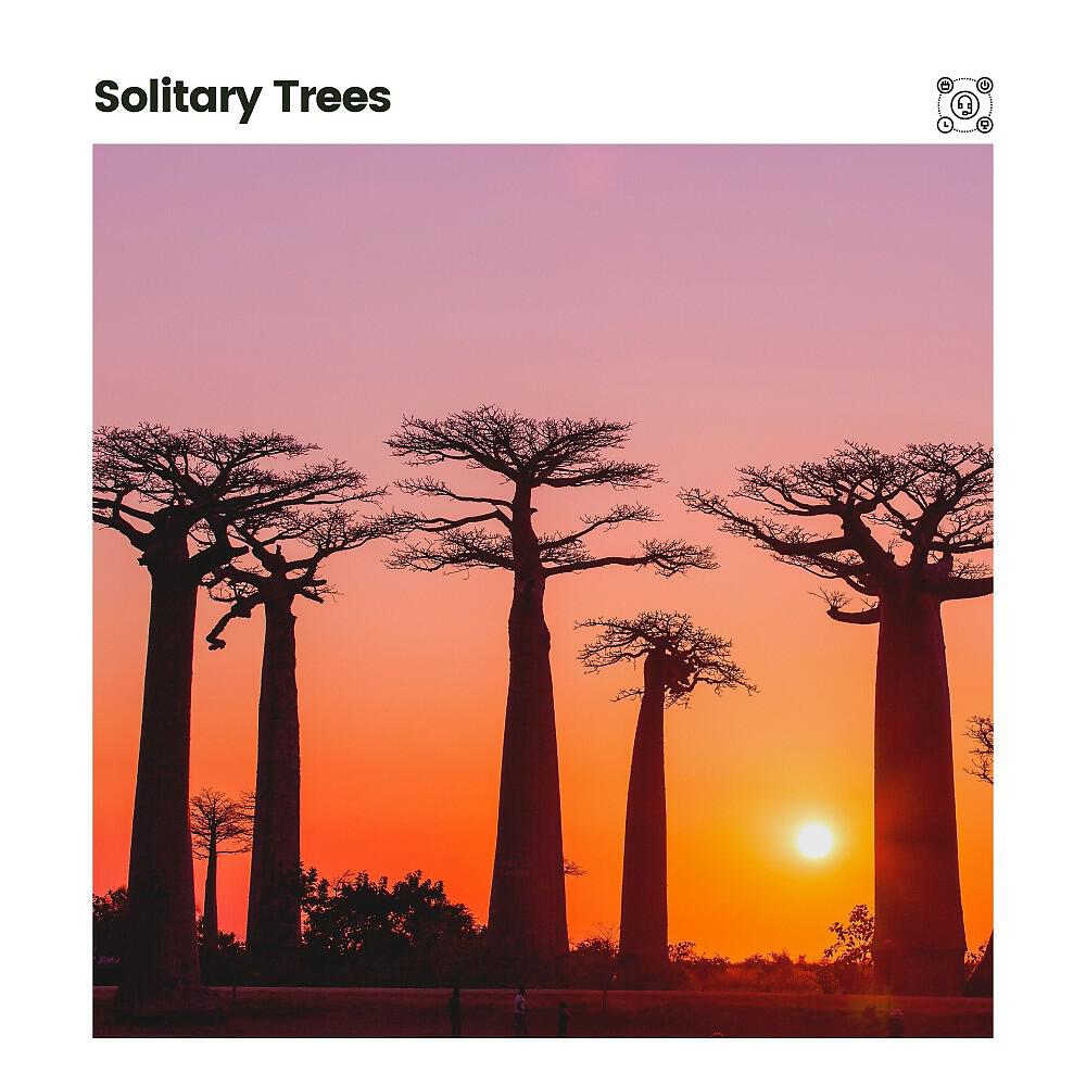 Релиз Solitary Trees