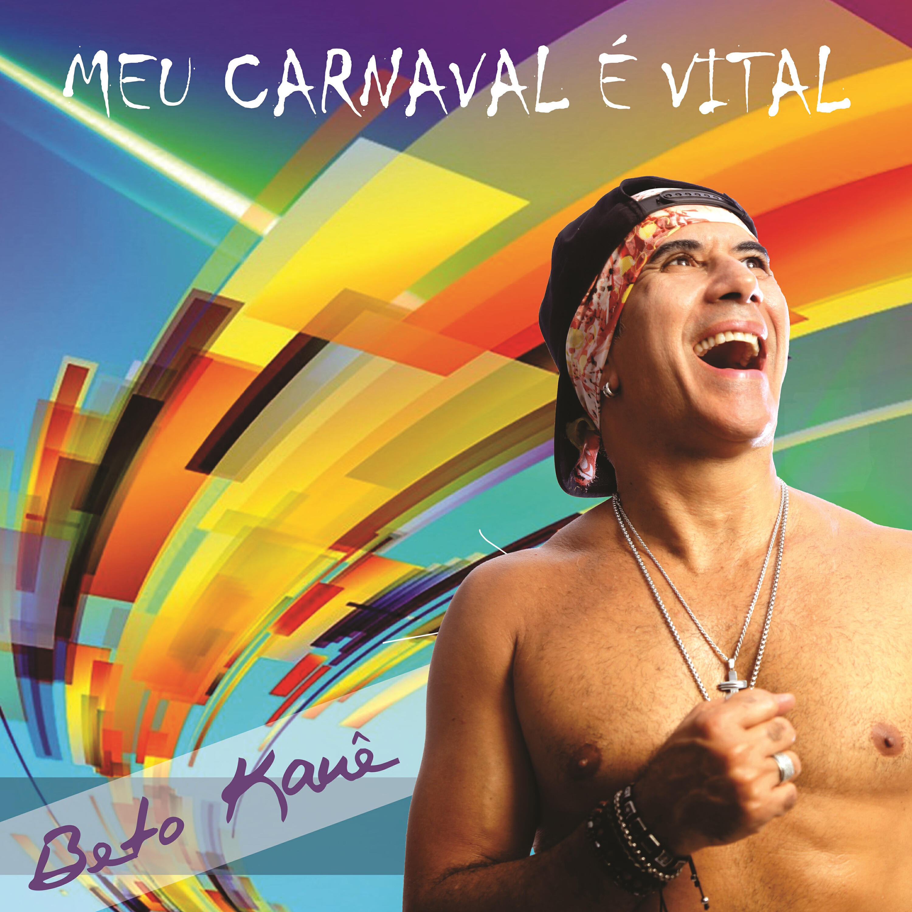 Релиз Meu Carnaval É Vital