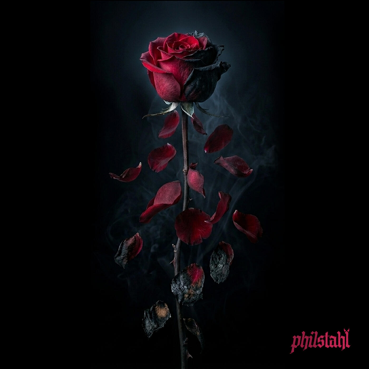Релиз Dying Rose