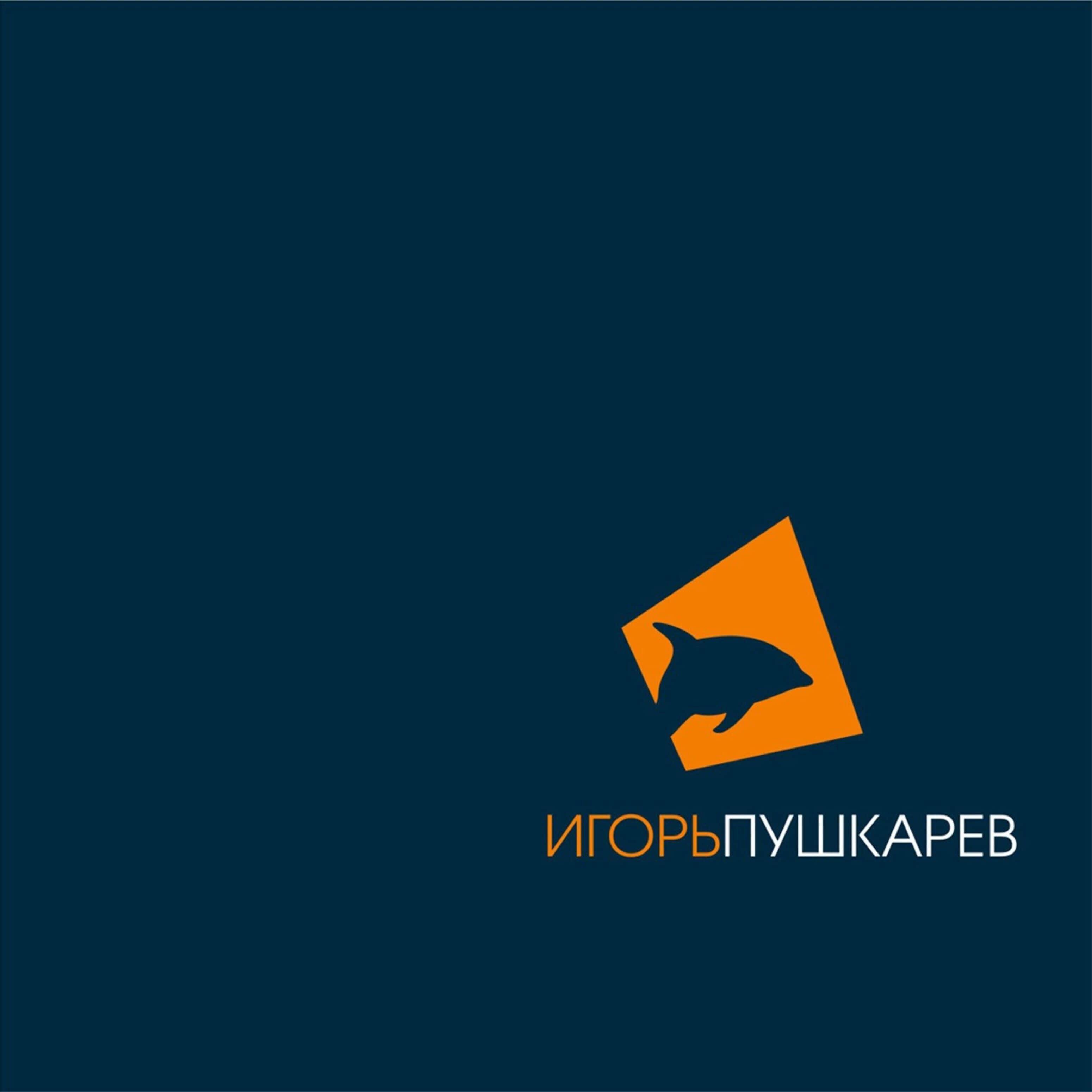 Постер альбома Удивительная ночь