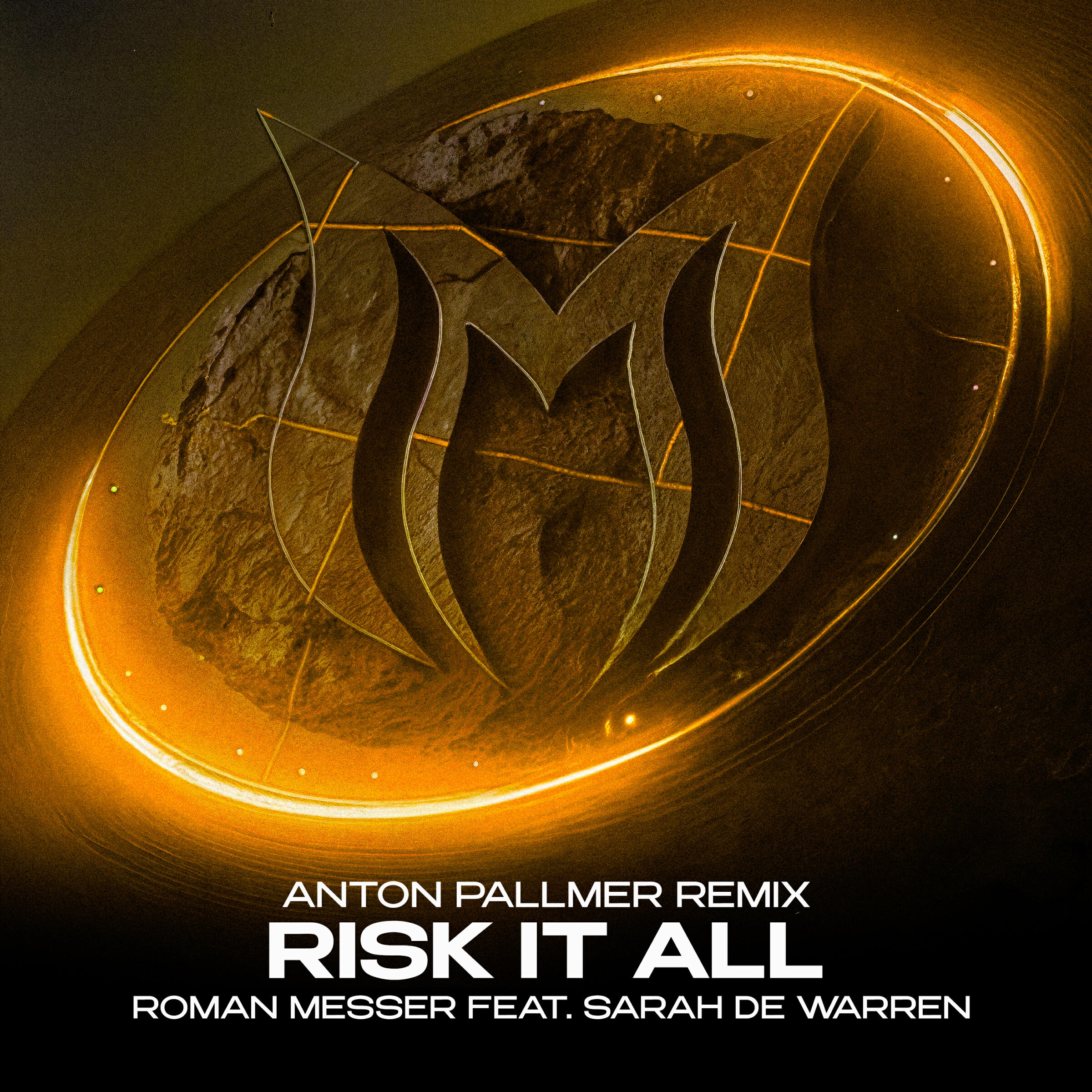 Релиз Risk It All (Anton Pallmer Remix)