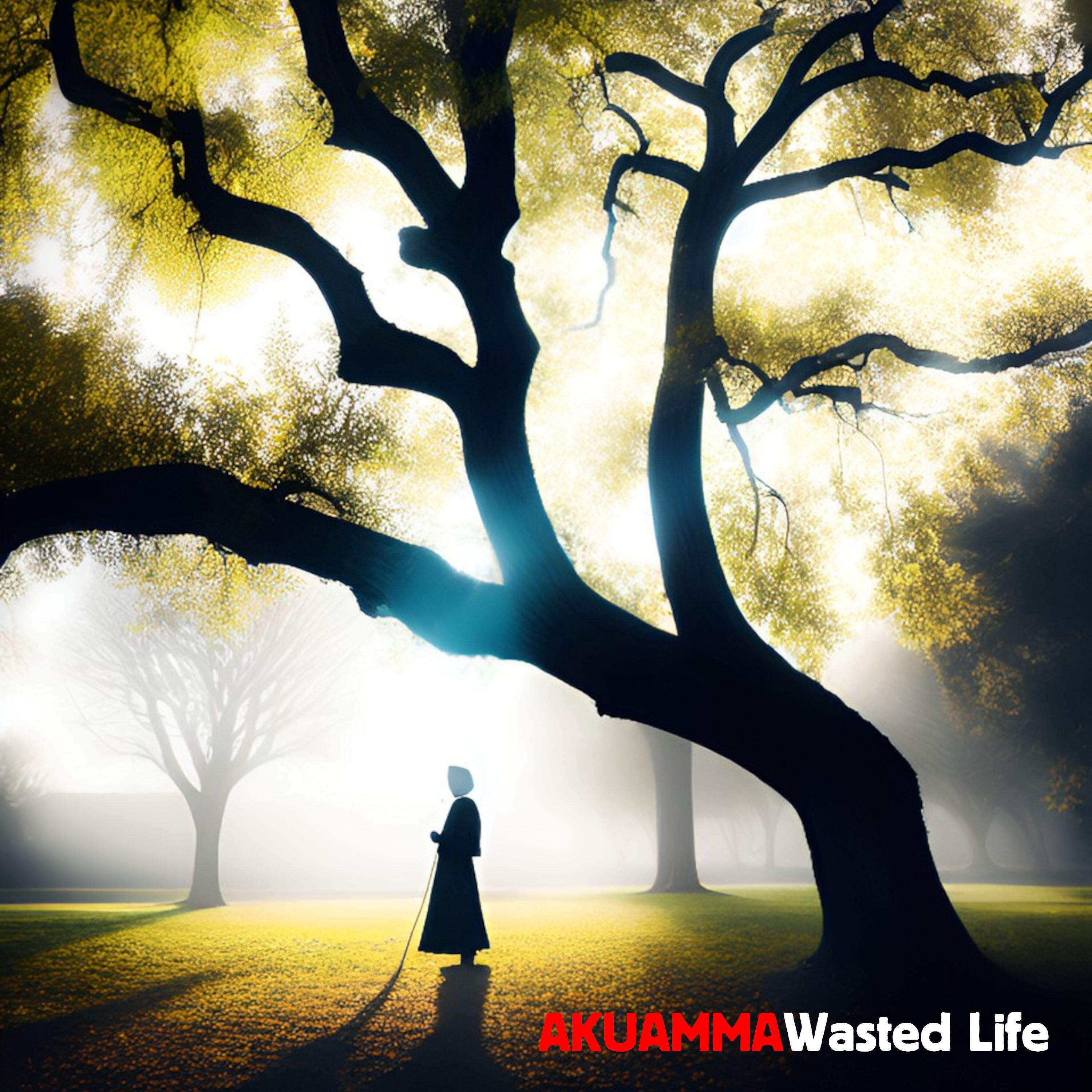 Релиз Wasted Life