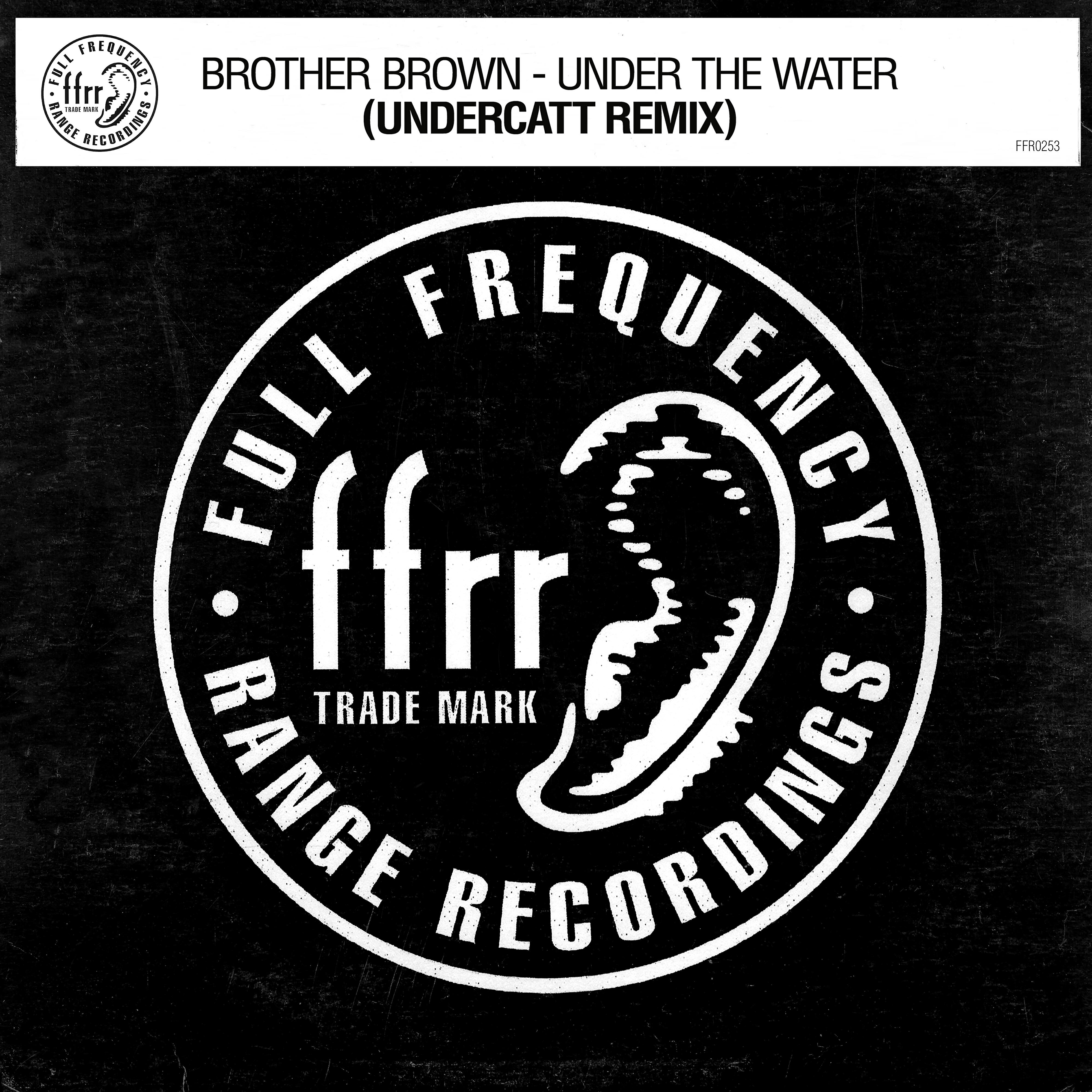 Релиз Under The Water (Undercatt Remix)
