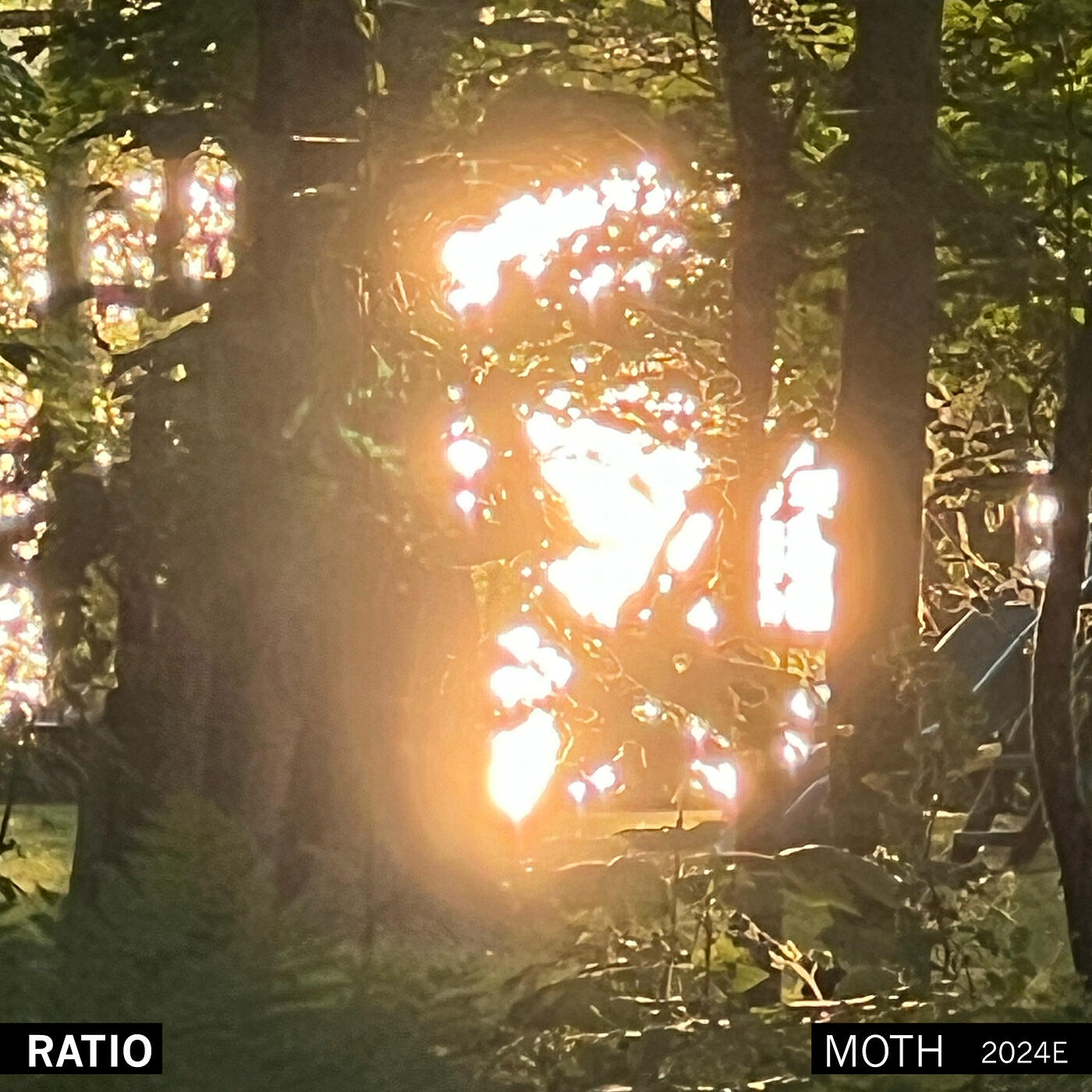 Релиз 2024E (Moth)