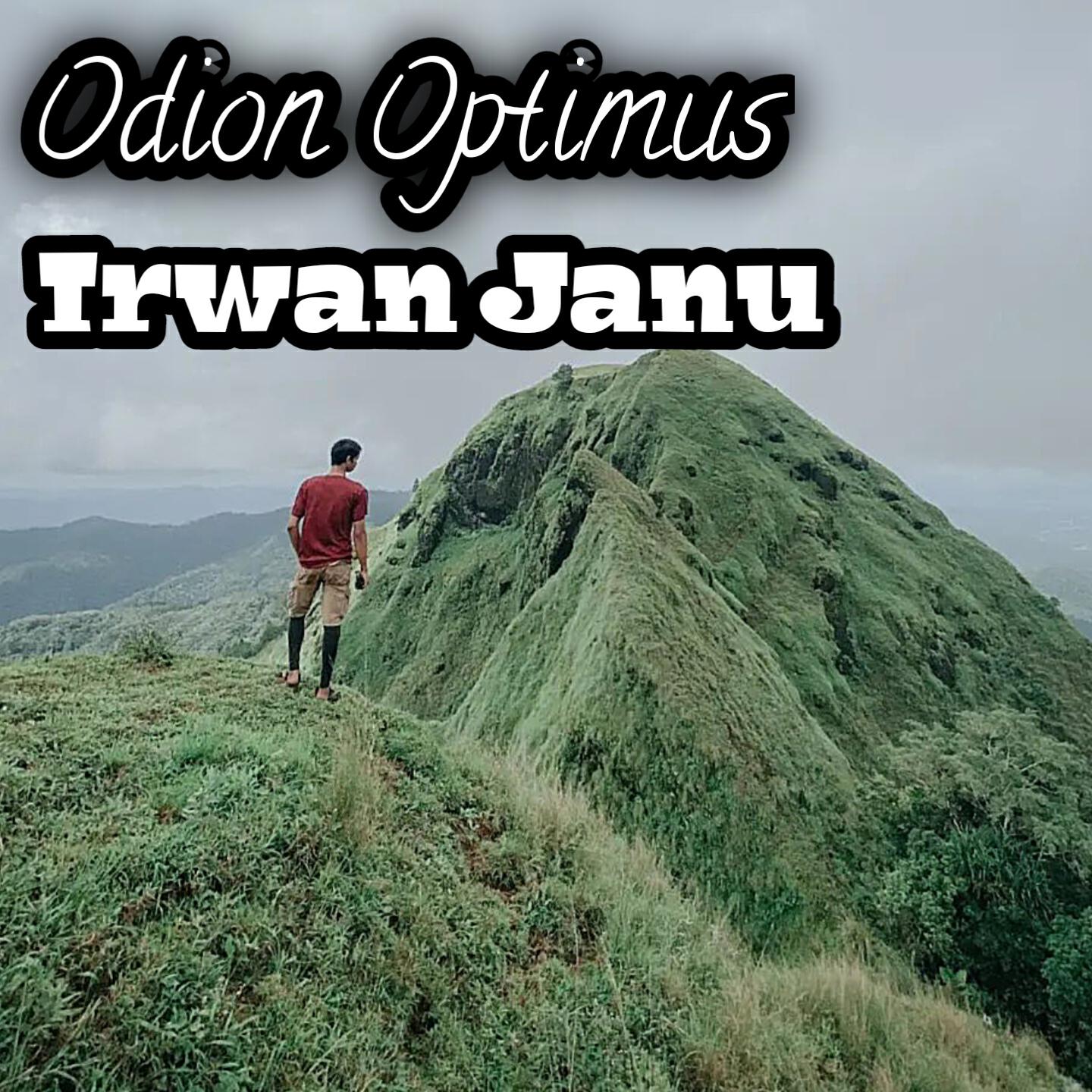 Релиз Odion Optimus