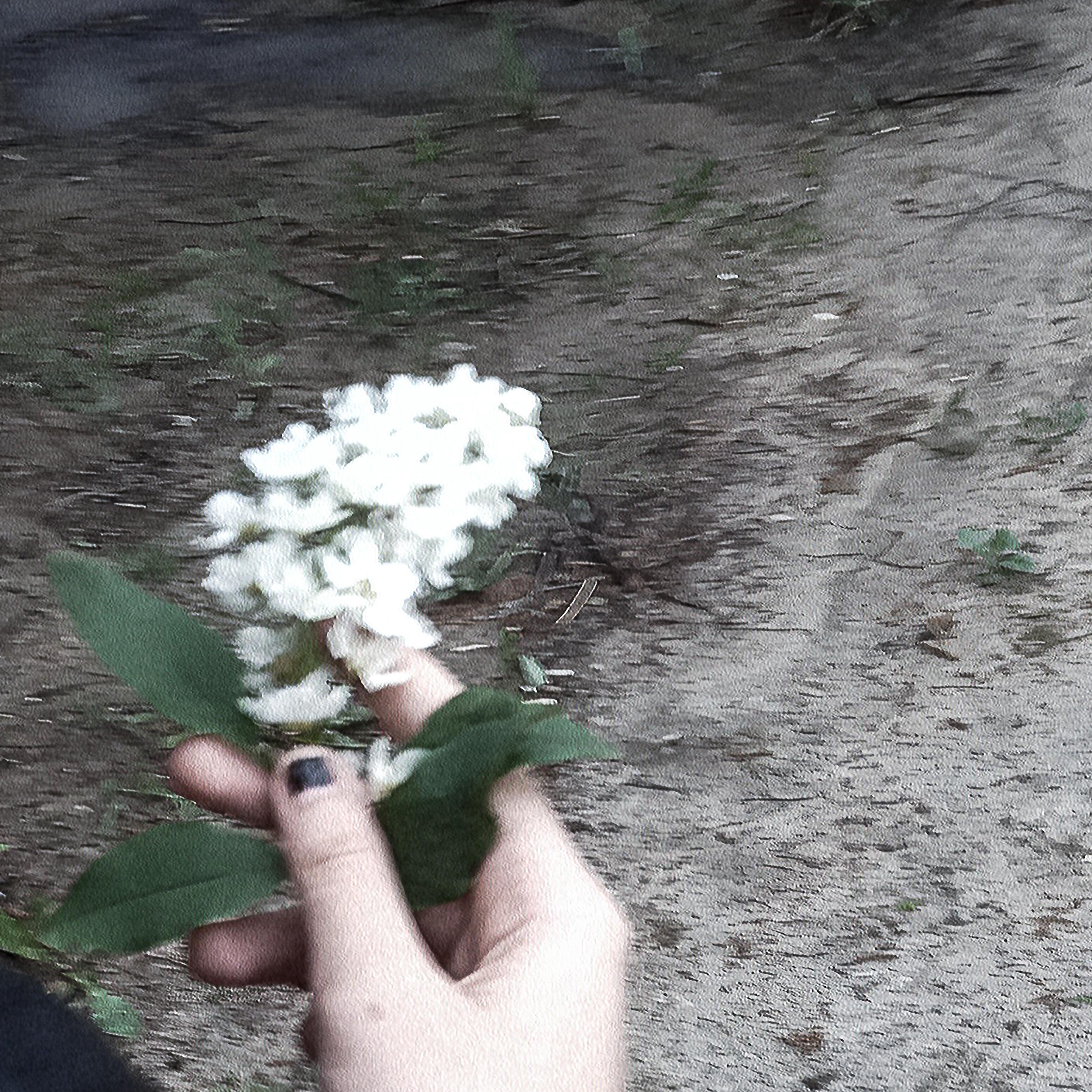 Релиз Amnesia