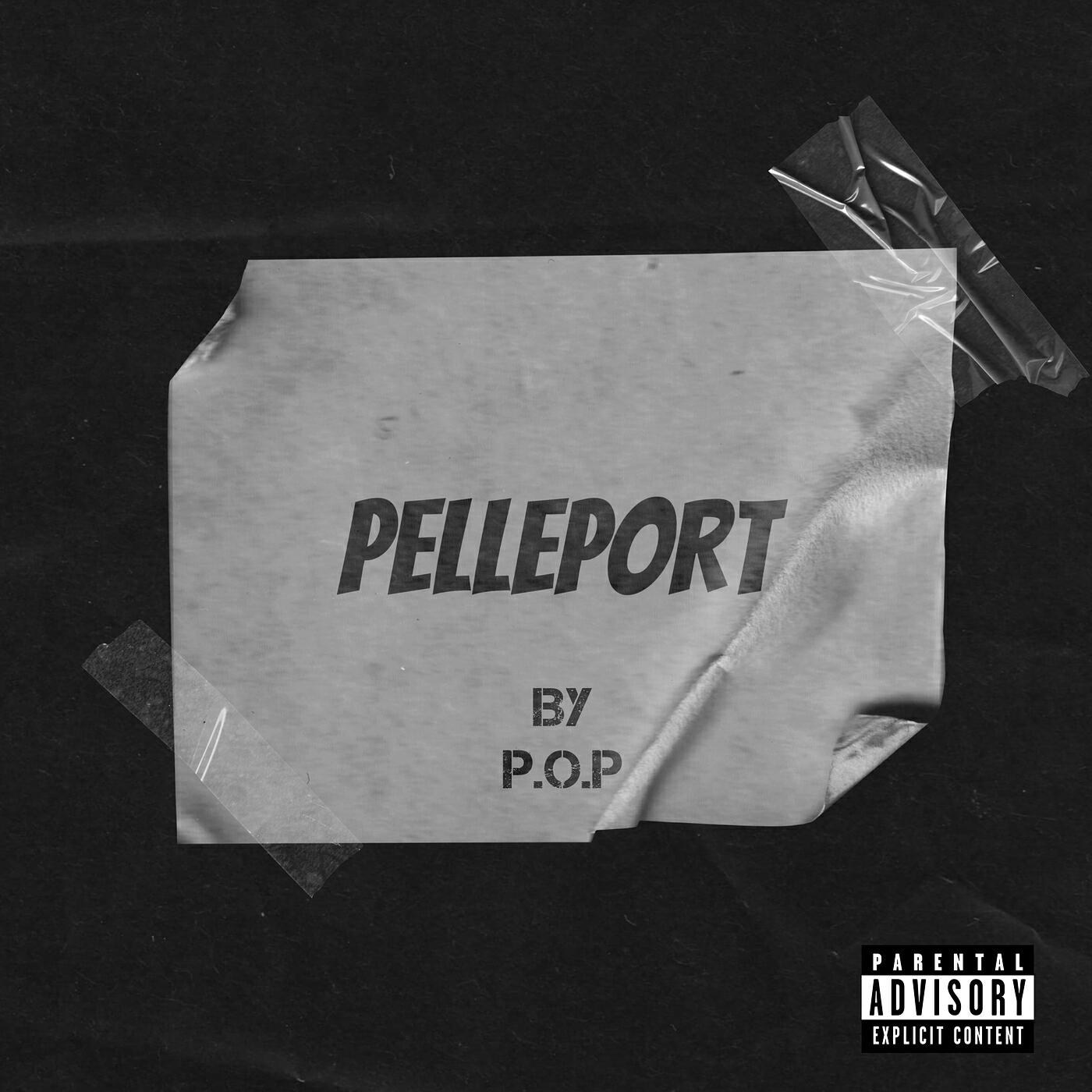 Релиз PELLEPORT
