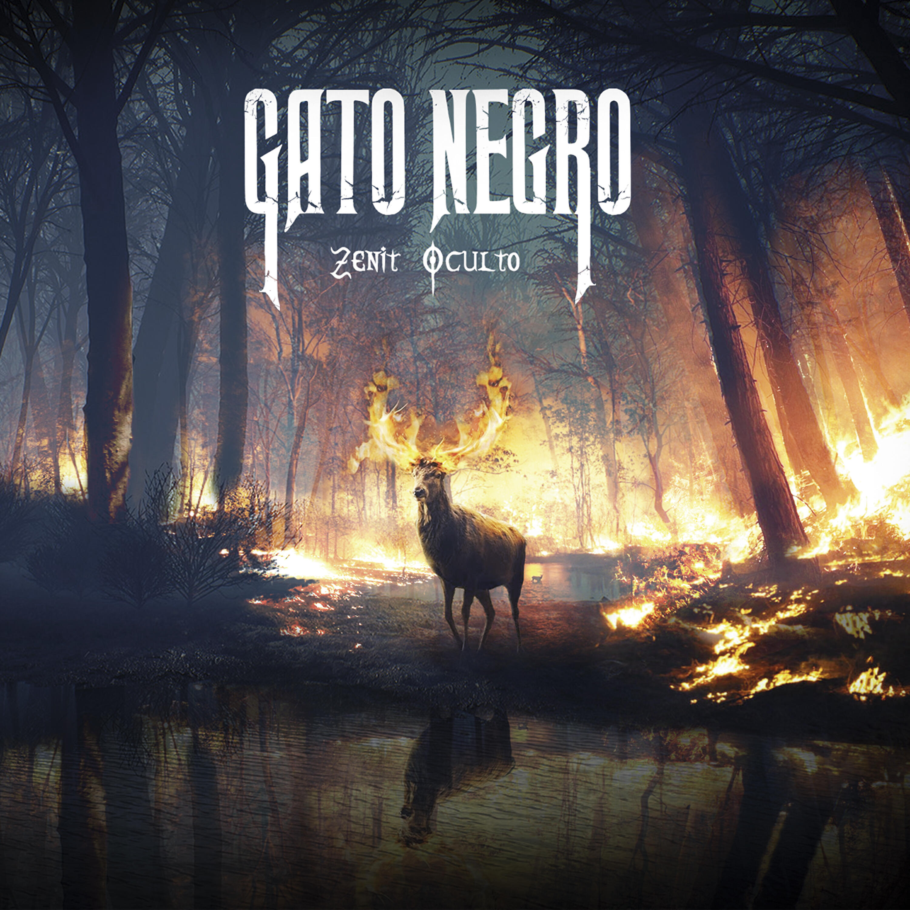 Релиз Zenit Oculto