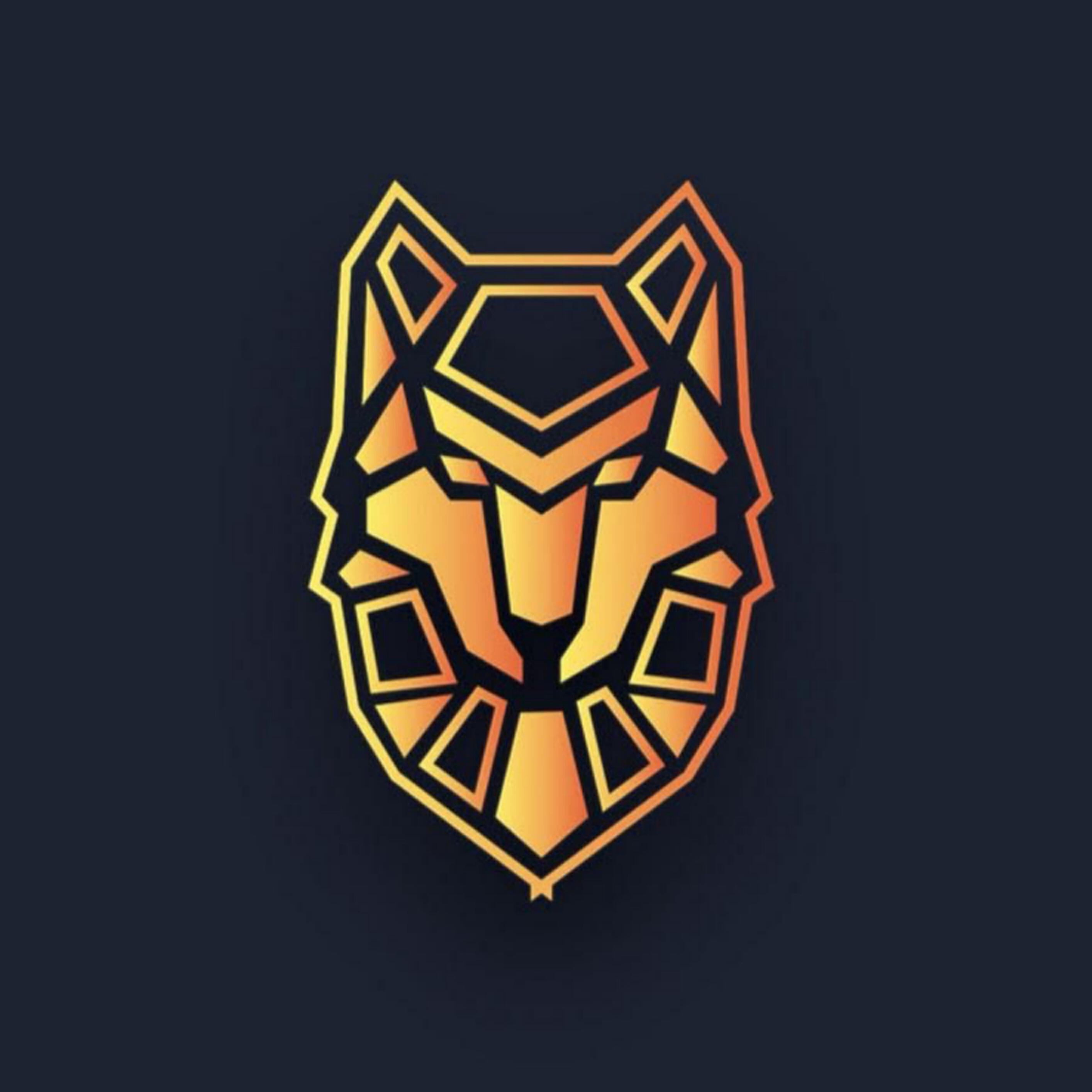 Релиз Гимн (ARLAN MMA KOSTANAY)