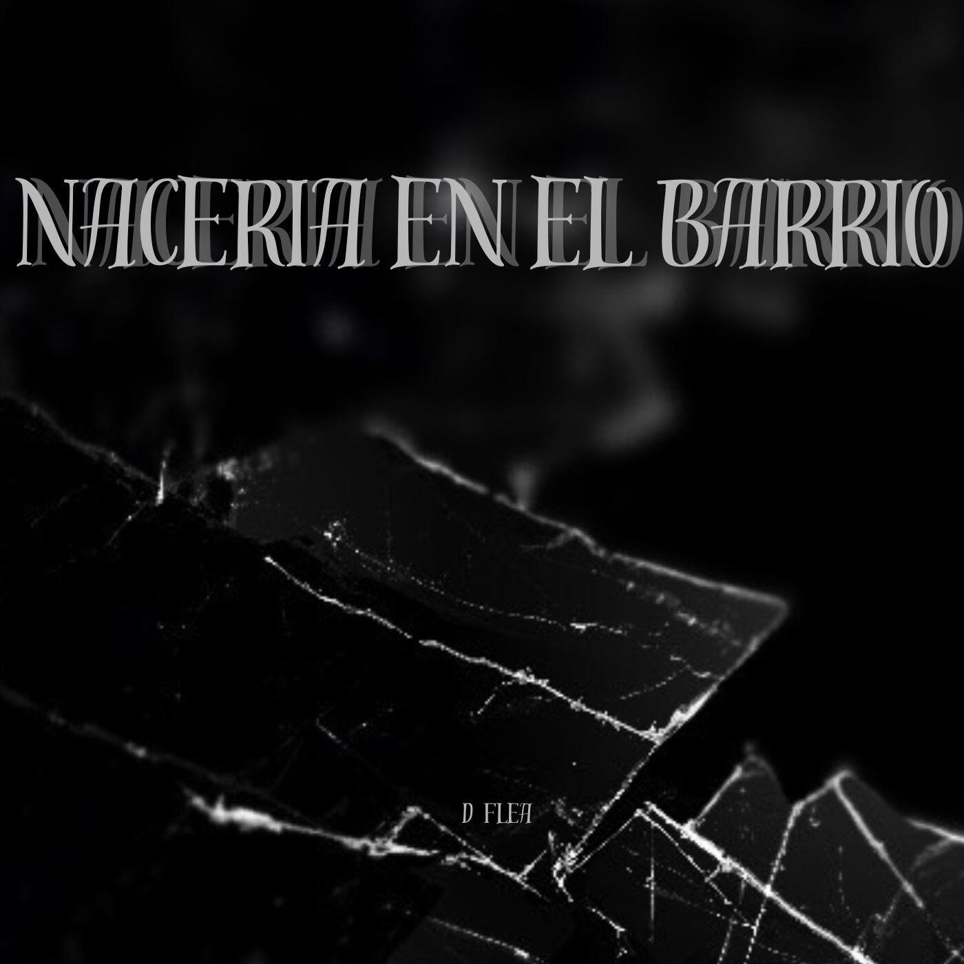 Релиз Naceria En El Barrio