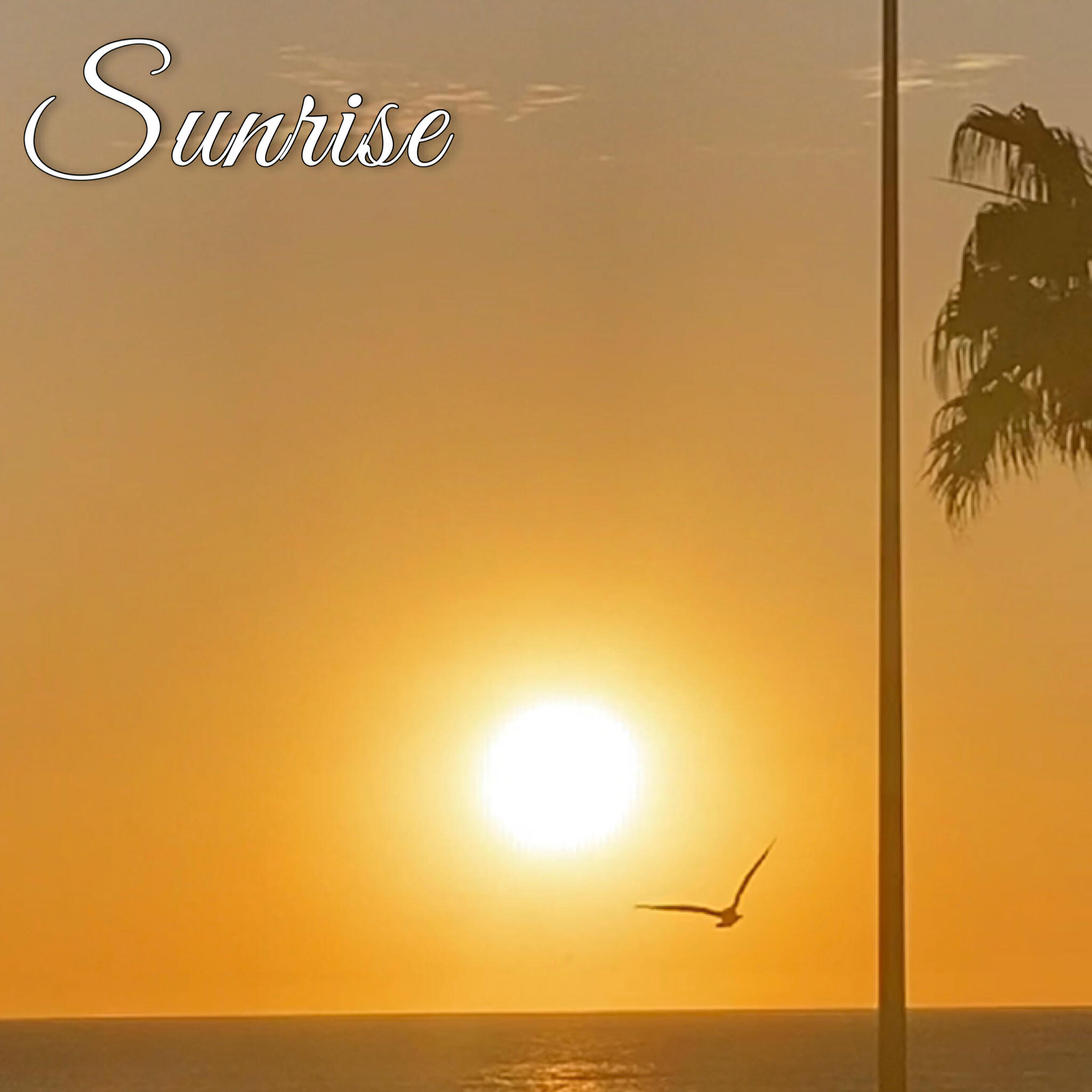 Релиз Sunrise