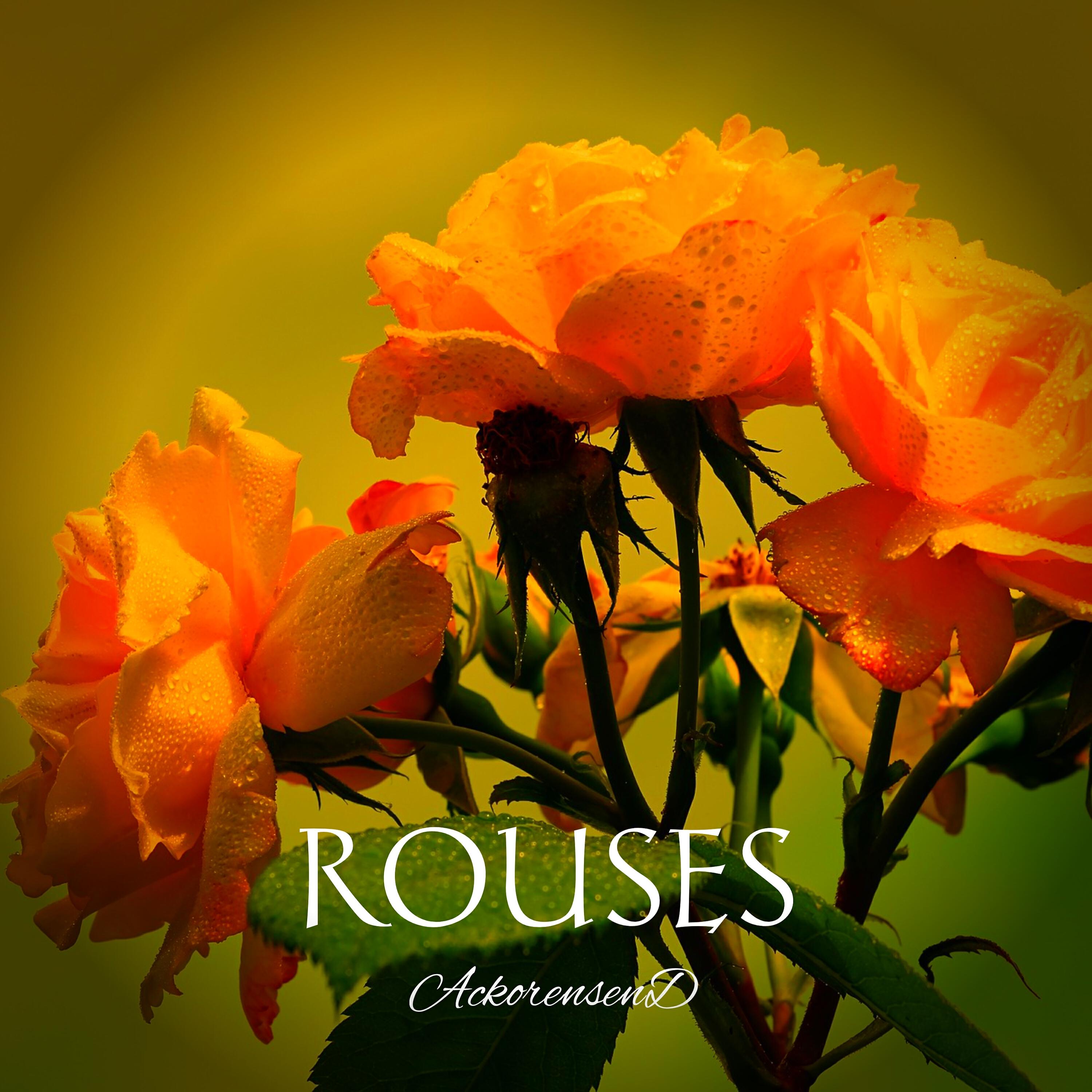 Релиз Rouses