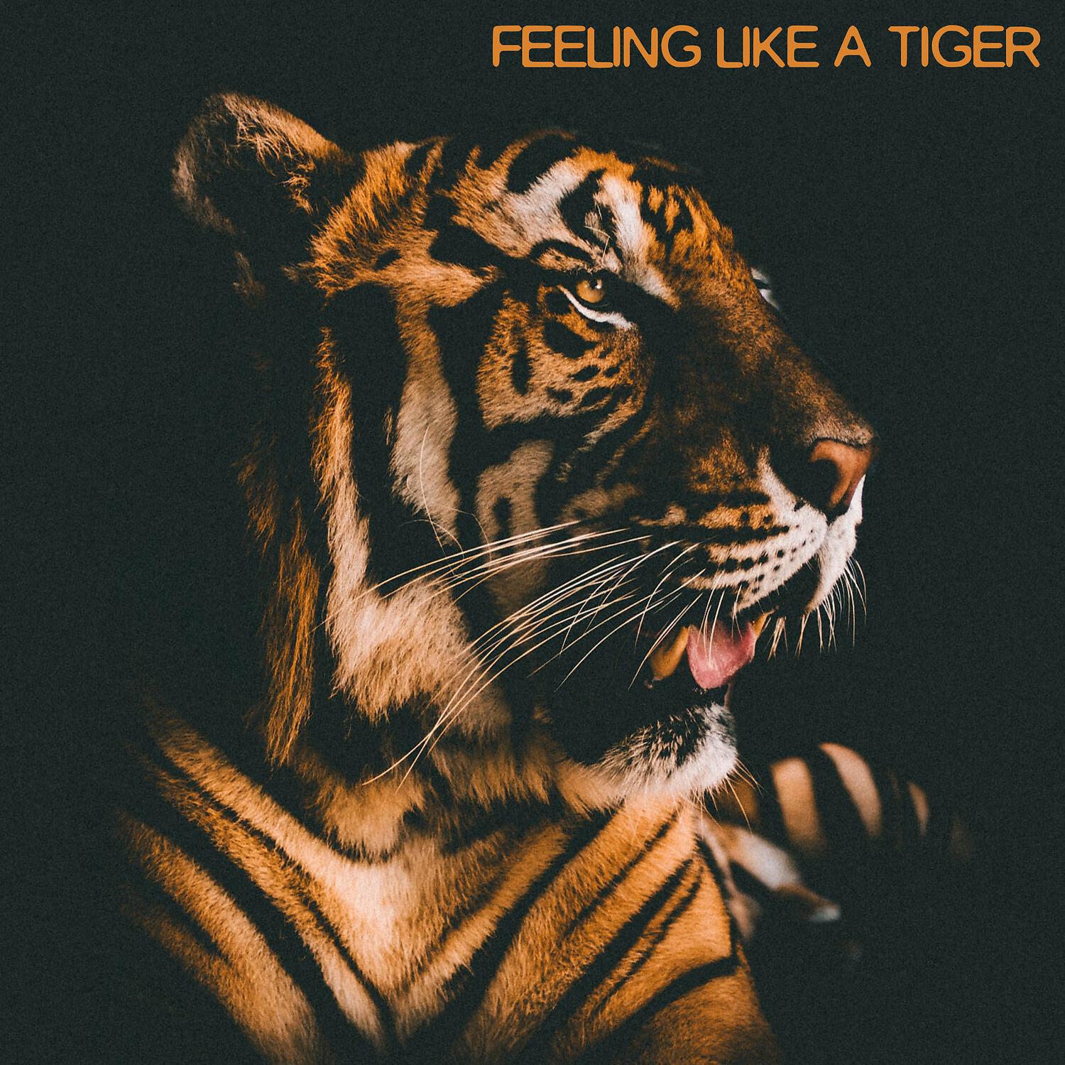 Релиз Feeling Like a Tiger