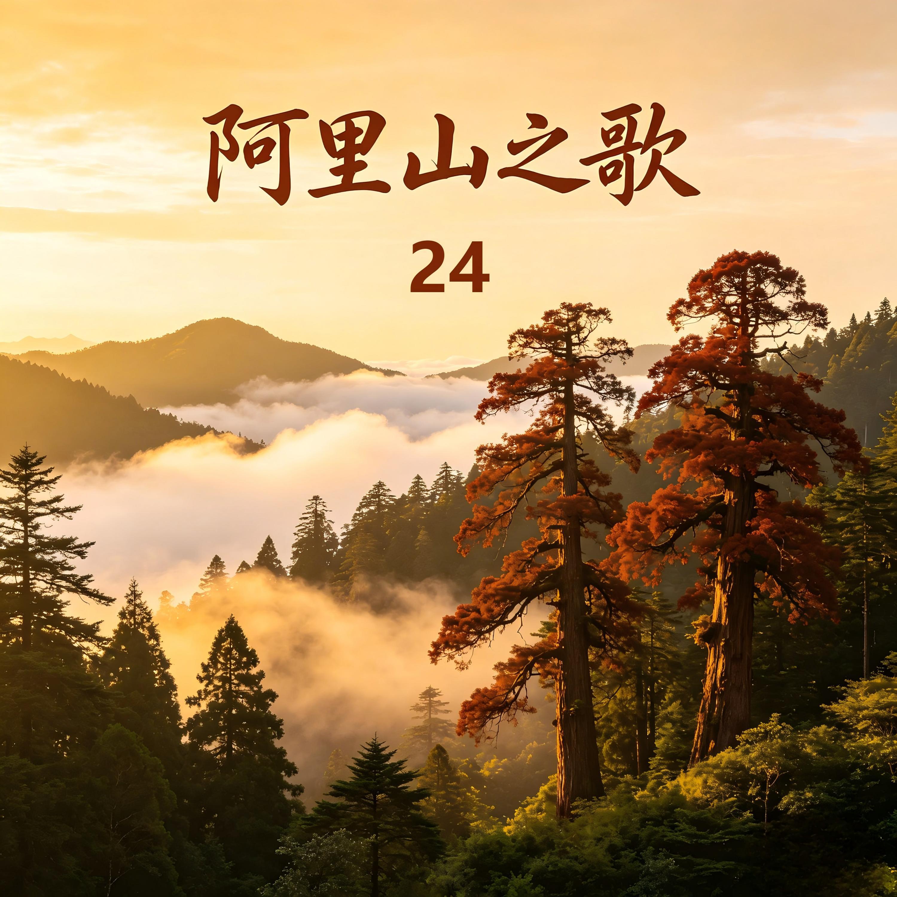 晓淳