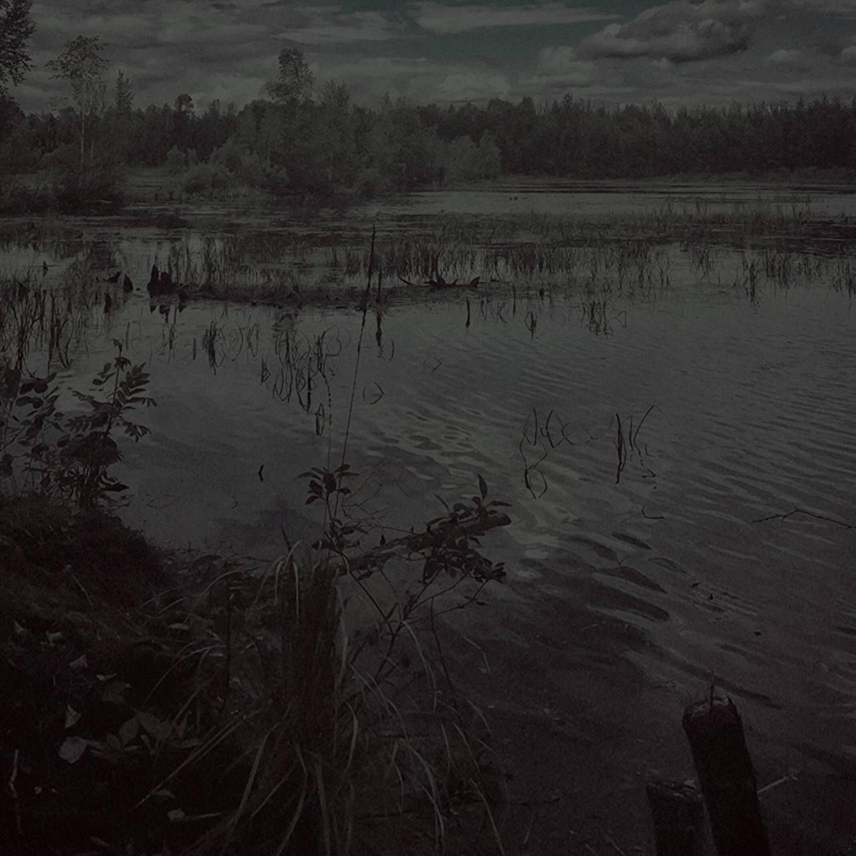 Релиз Топь