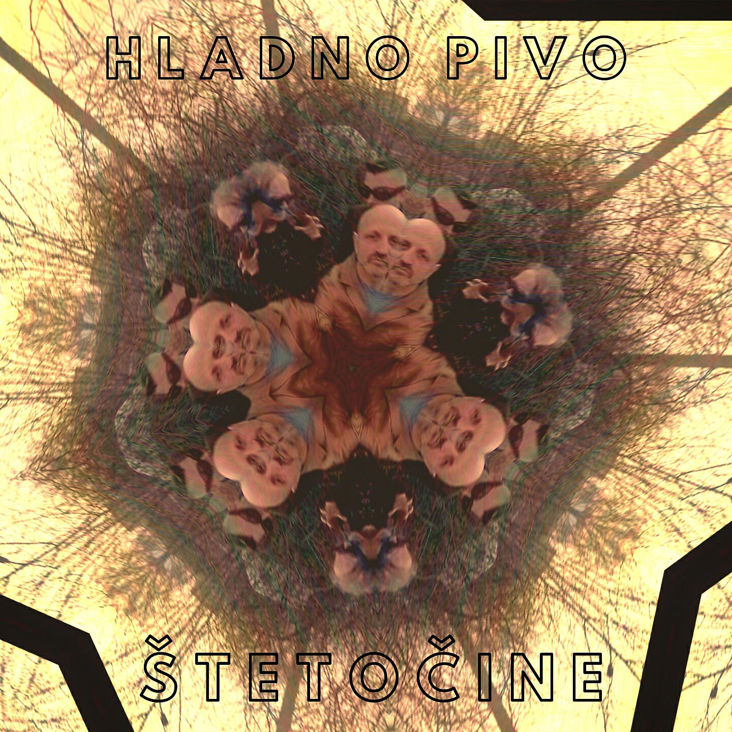 Постер альбома Štetočine
