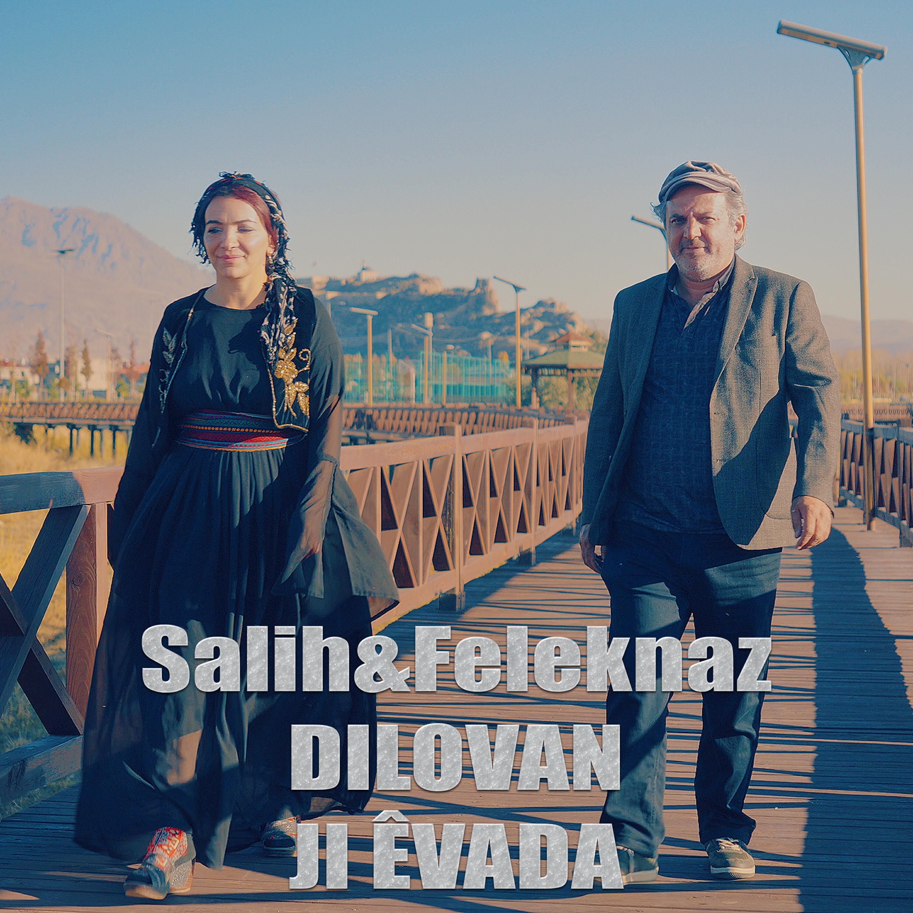 Feleknaz Dilovan