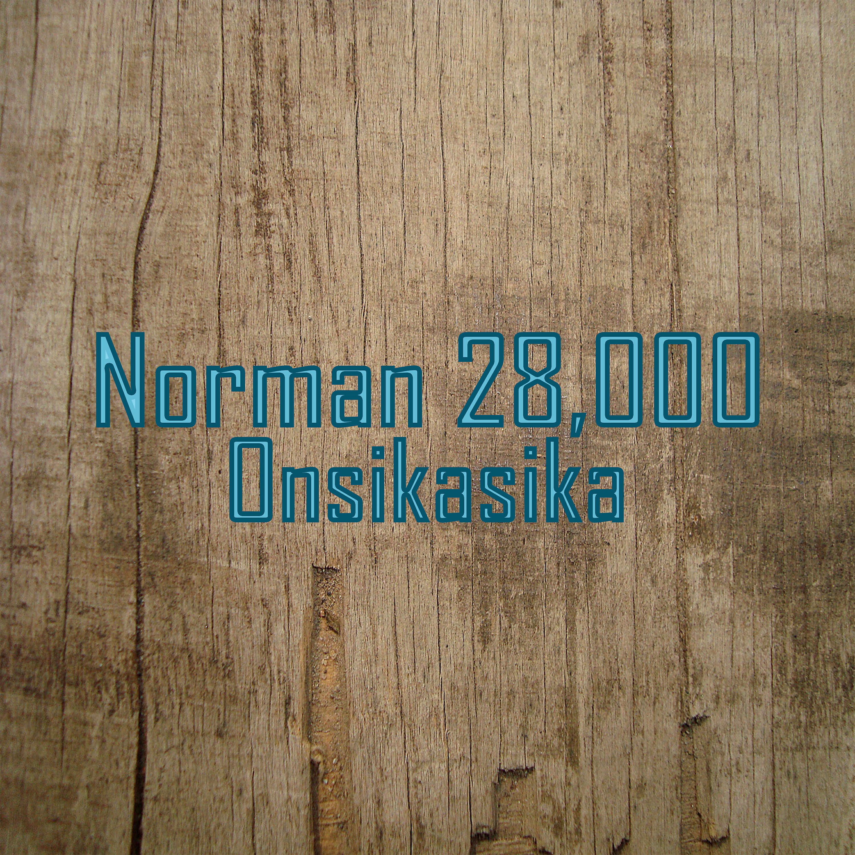 Norman 28