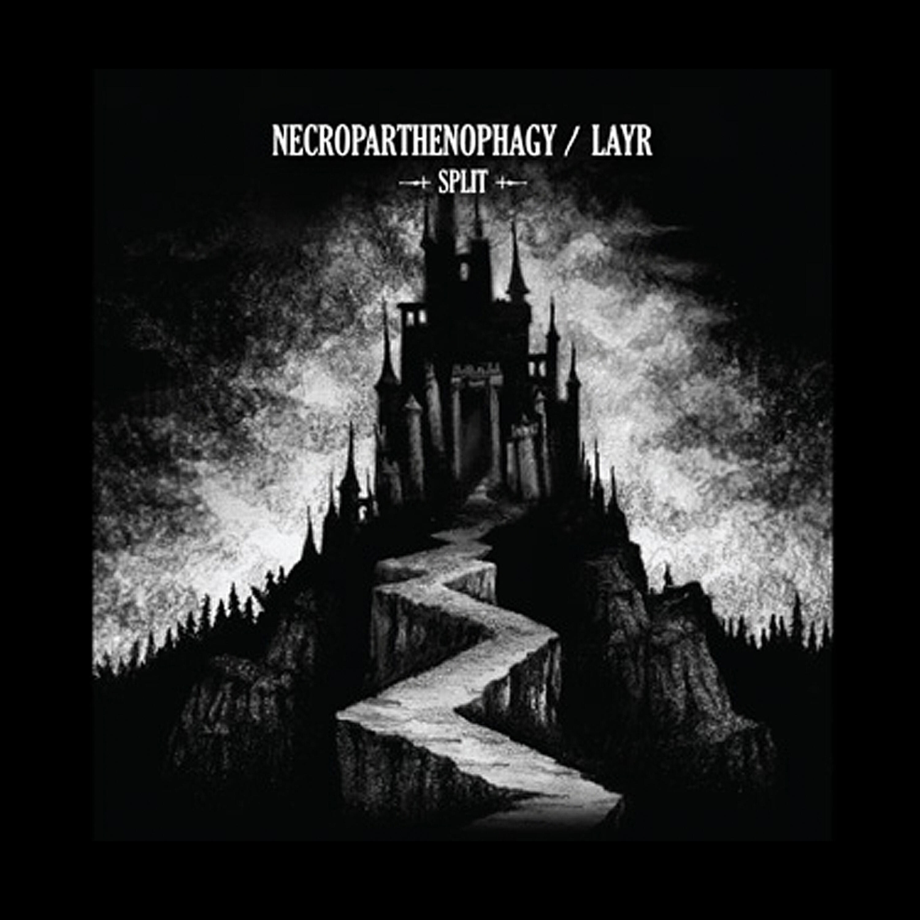 Релиз Necroparthenophagy / Layr - Split